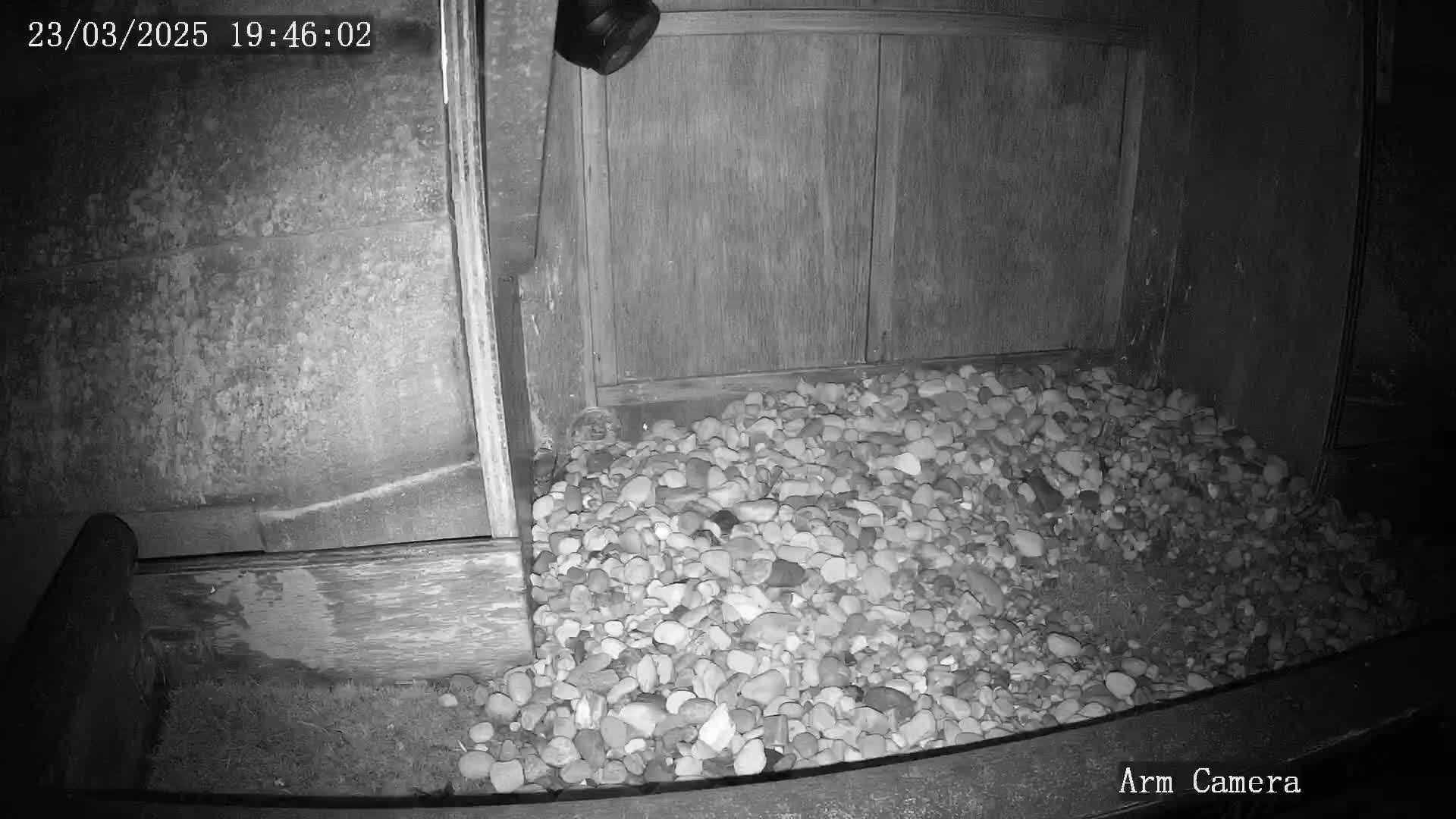 A pile of light-colored rocks sits at the base of a wooden door at night.