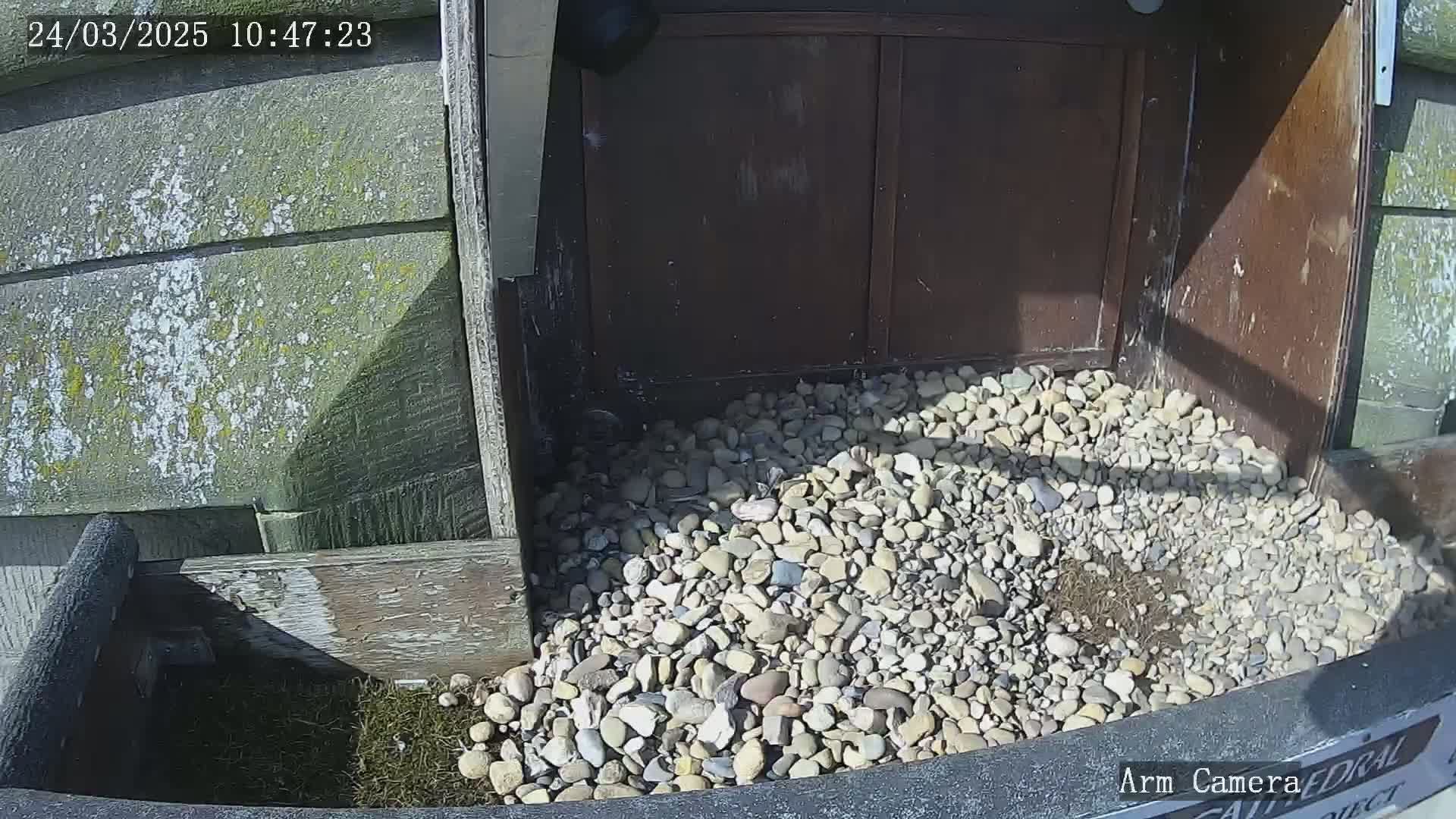 A pile of small rocks sits on the ground in a sunny outdoor alcove bordered by weathered wood and stone.