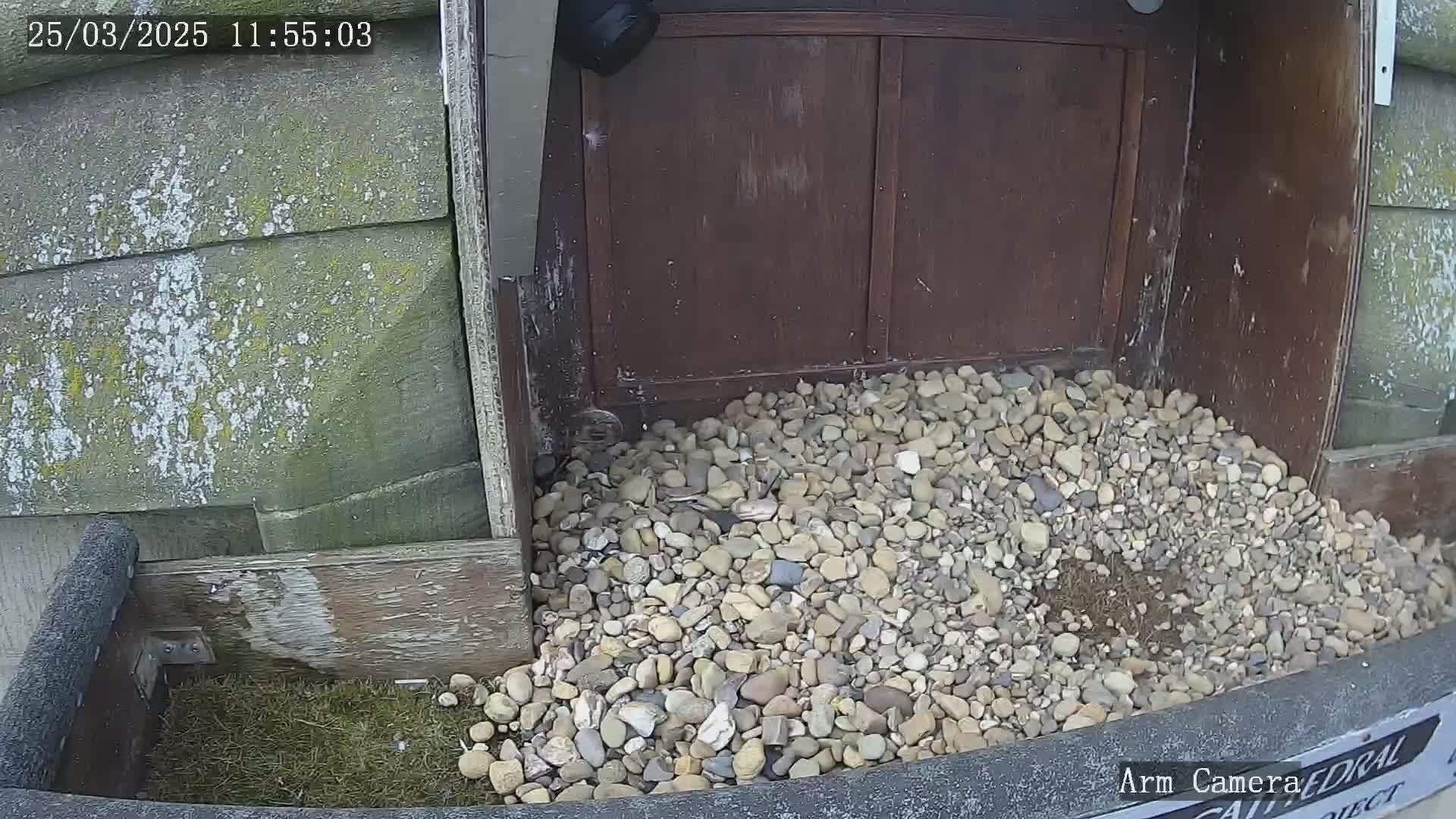 A pile of small, light-colored rocks sits at the base of a weathered, dark brown wooden structure.