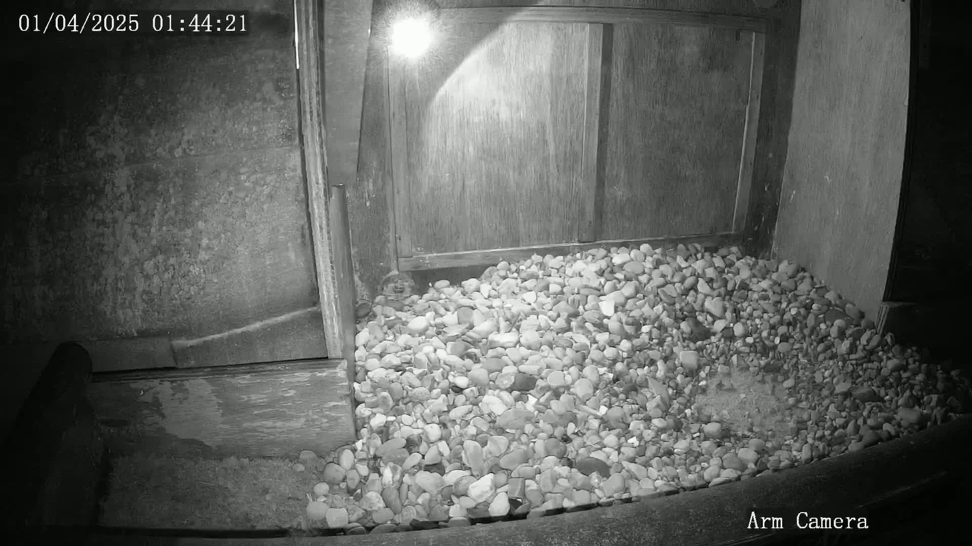 A pile of small rocks sits at the base of a wooden structure at night, illuminated by an overhead light.