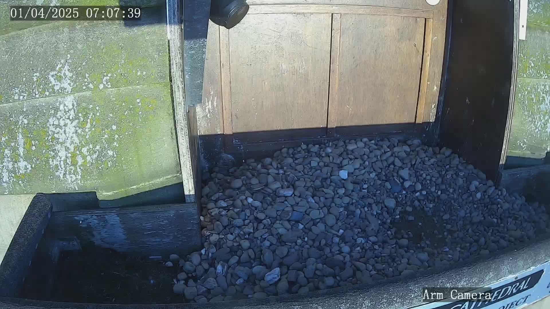 A pile of dark gray and black pebbles sits in a dark-colored planter at the base of a wooden door in bright sunlight.