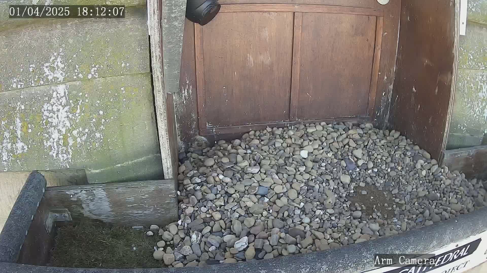 A pile of small grey and brown rocks sits in a wooden trough at the base of a wooden door under a security camera on a sunny day.