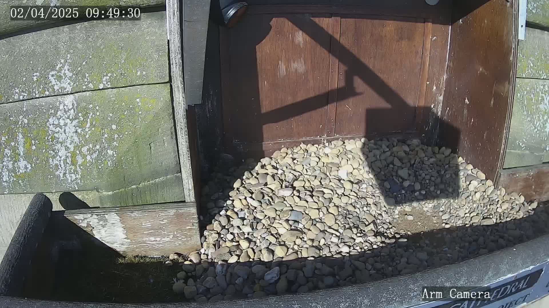 A pile of light-colored pebbles sits in front of a weathered wooden structure on a sunny day.