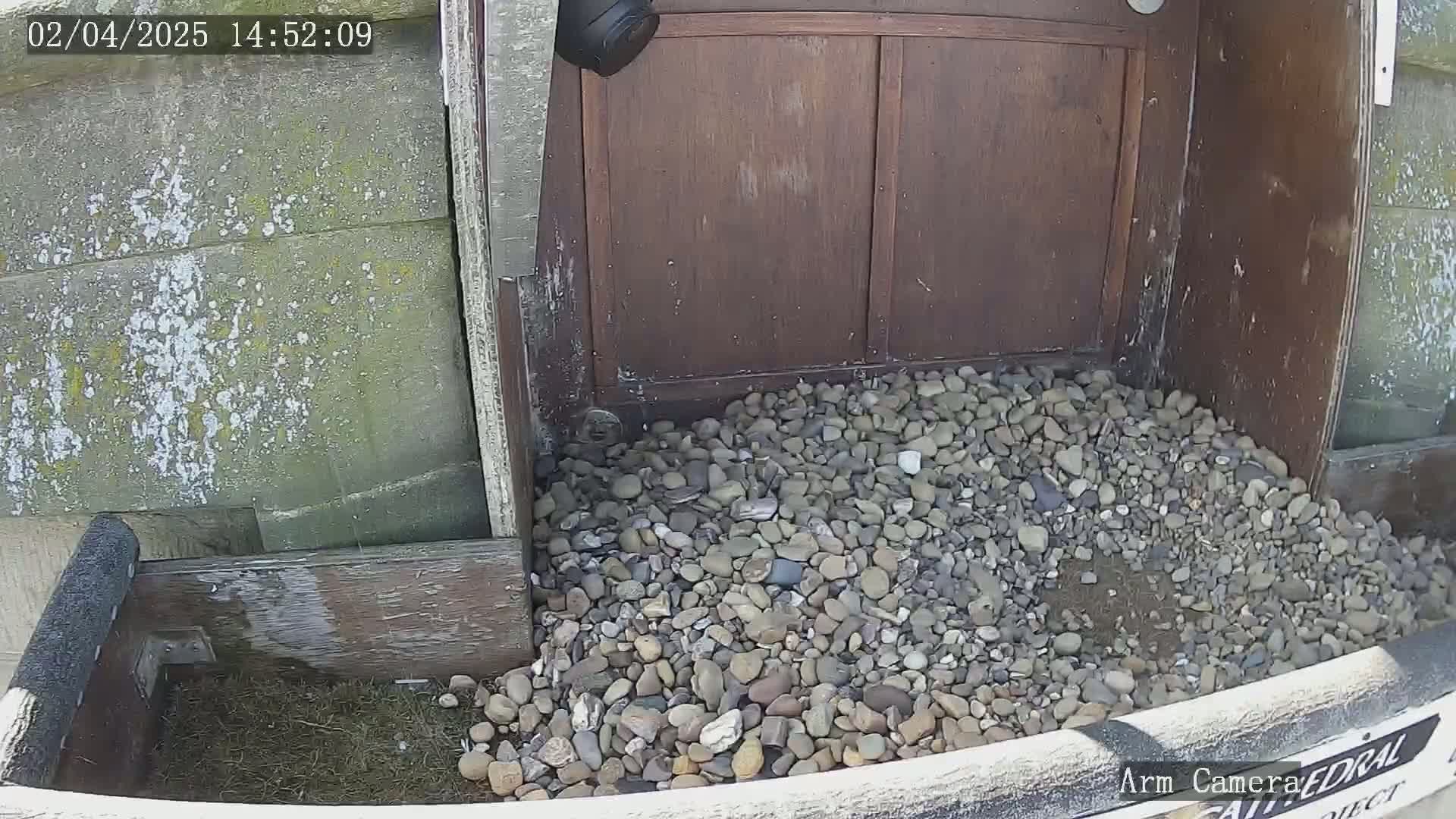 A pile of small rocks sits in front of a weathered wooden door, partially enclosed by a wooden frame.