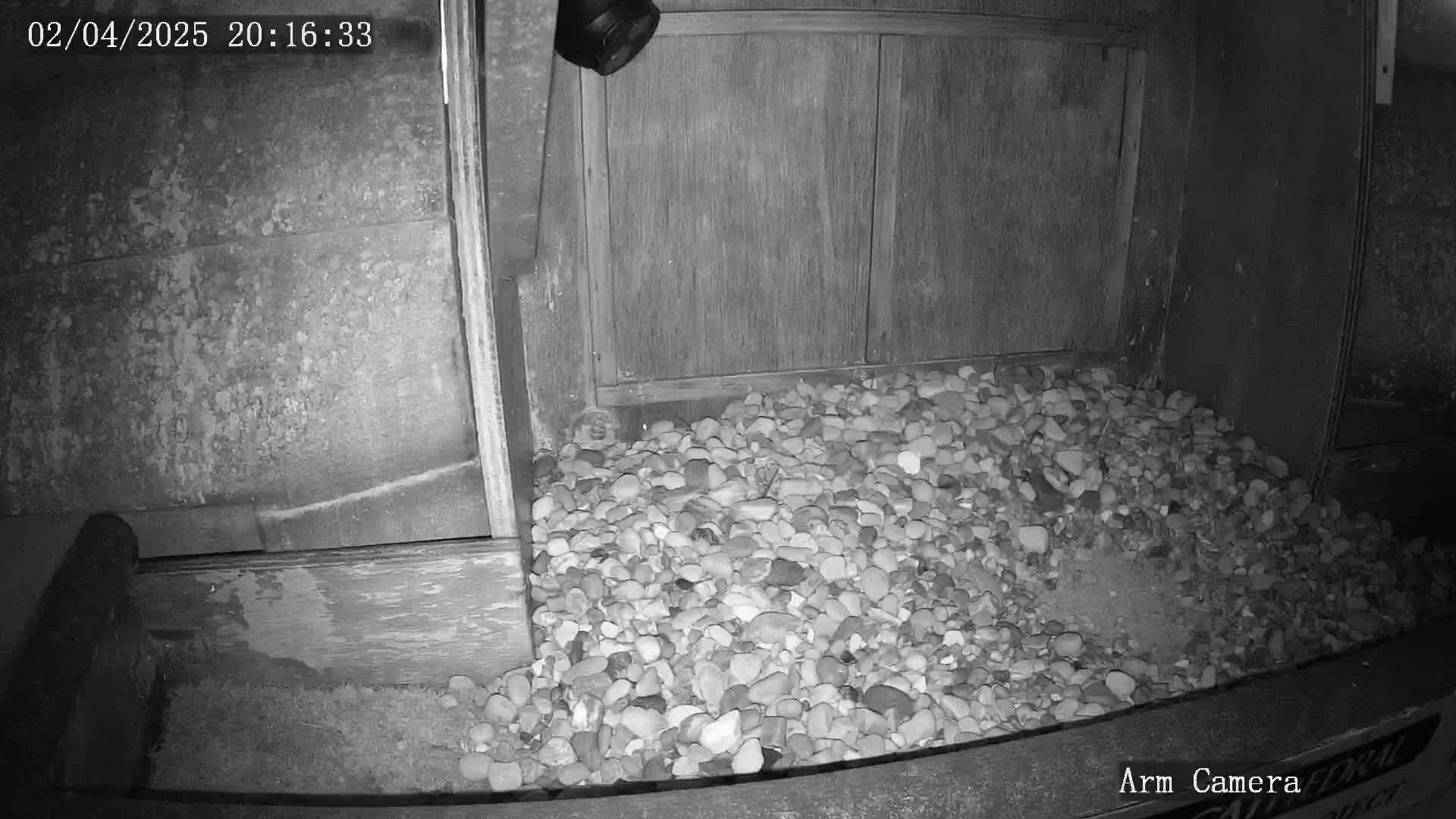 A pile of gray and white pebbles sits in front of a wooden structure at night.