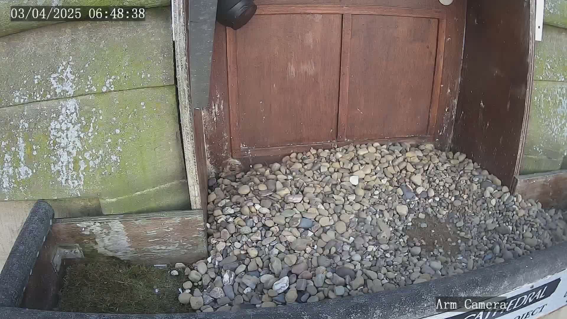 A pile of small rocks sits at the base of a wooden door on a sunny day.