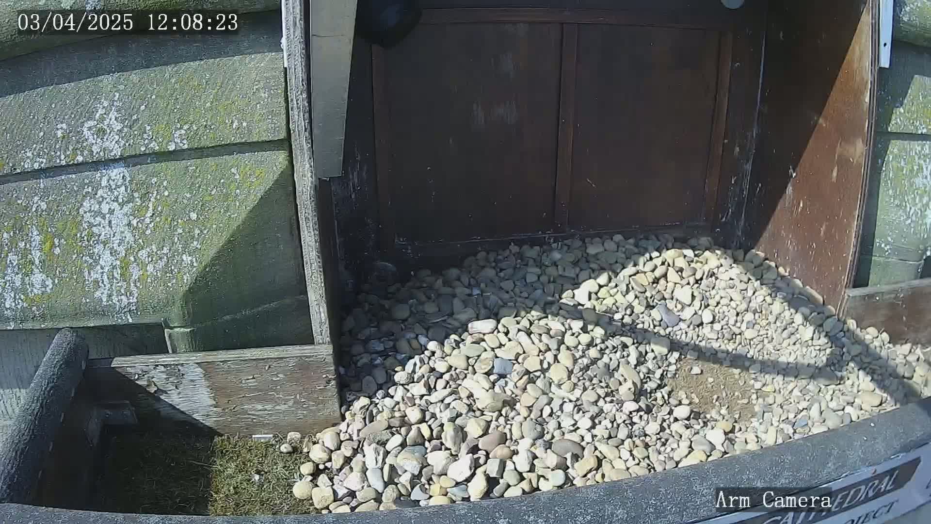 A pile of small, light-colored rocks sits in a shadowed corner of a wooden structure on a sunny day.