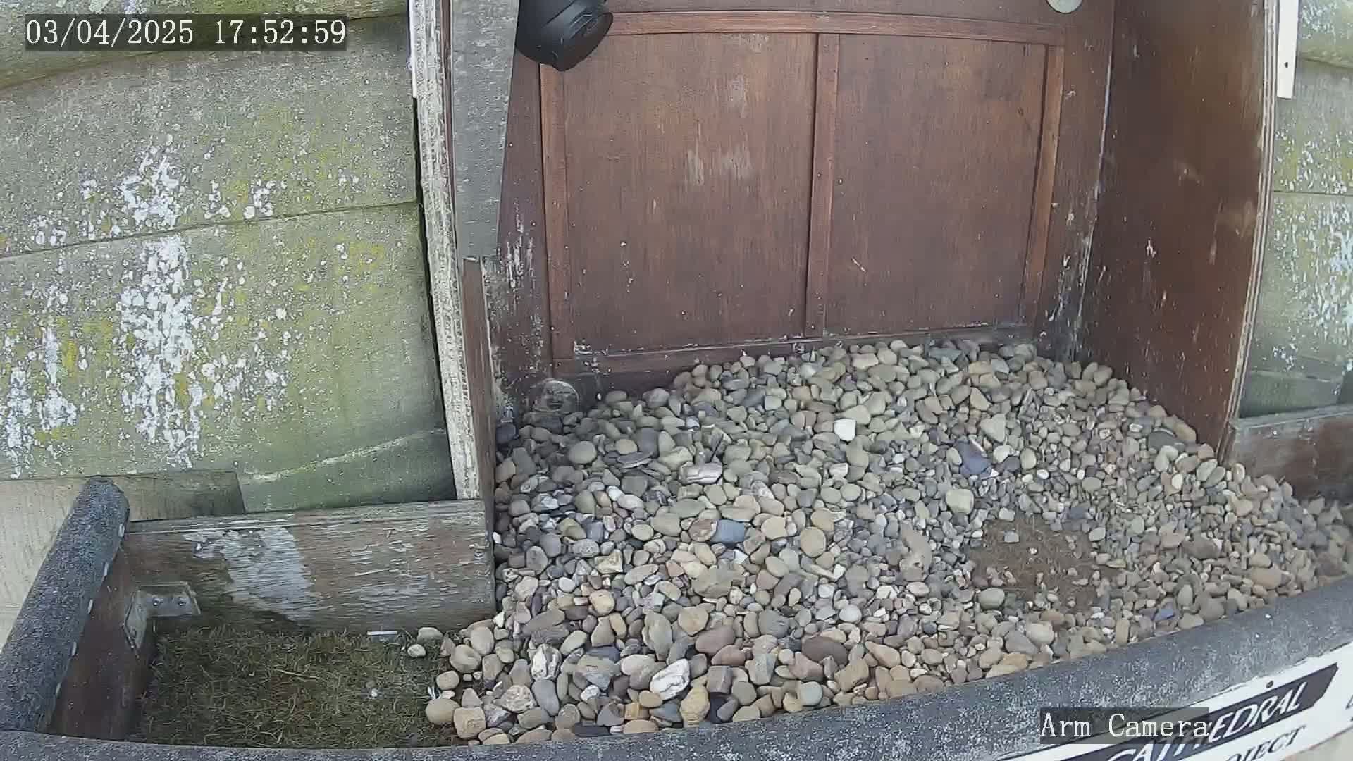 A pile of small rocks sits in front of a weathered wooden door, partially obscuring a small patch of ground.