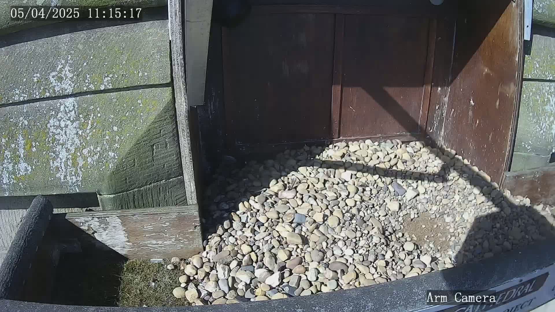 A pile of small, light-colored stones sits in front of a dark brown wooden door on a sunny day.