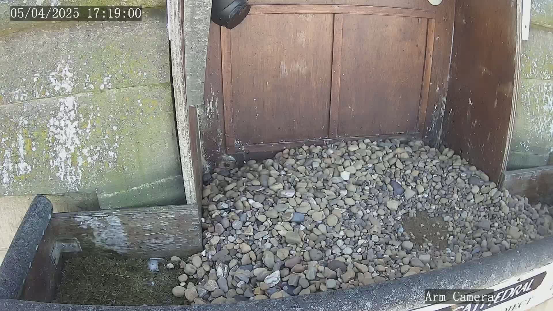 A pile of gravel sits at the base of a weathered wooden door on a sunny day.