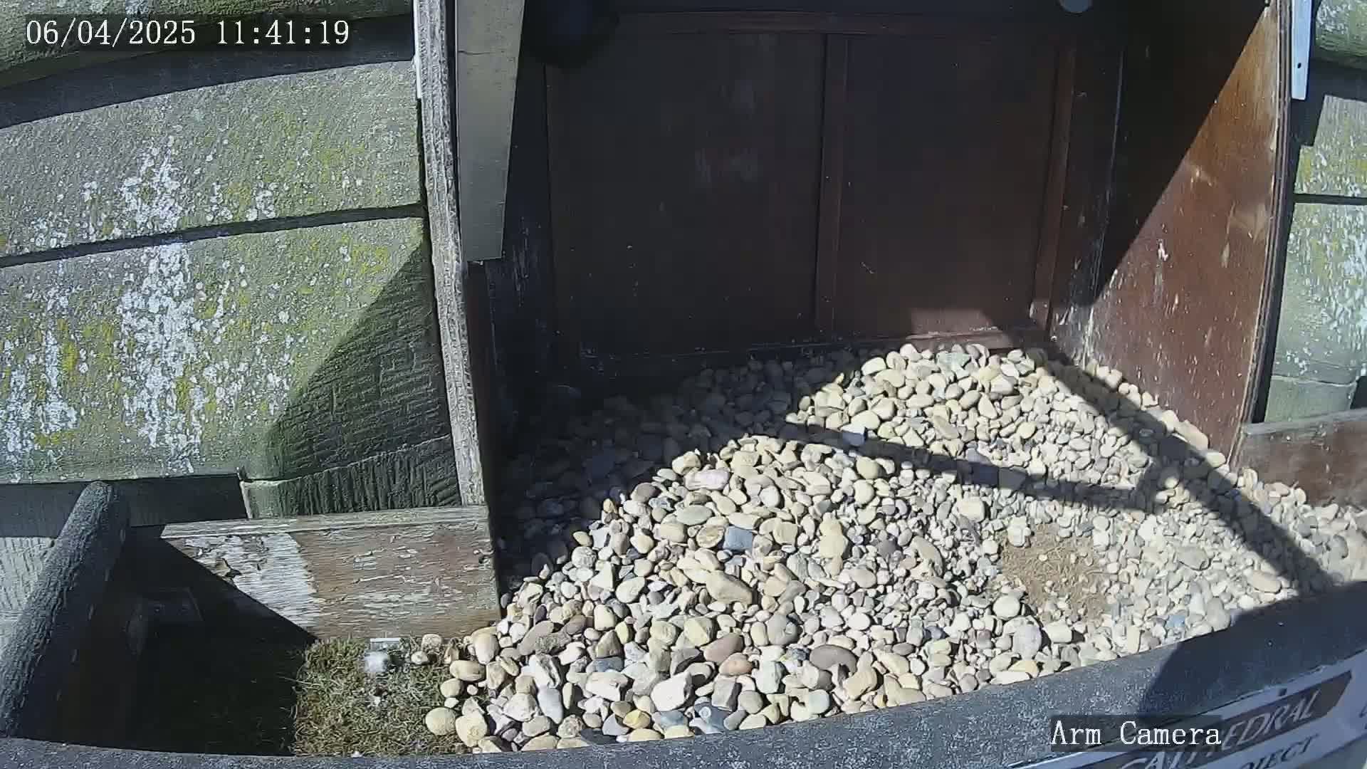 A pile of light-colored rocks sits in front of a dark brown door on a sunny day.