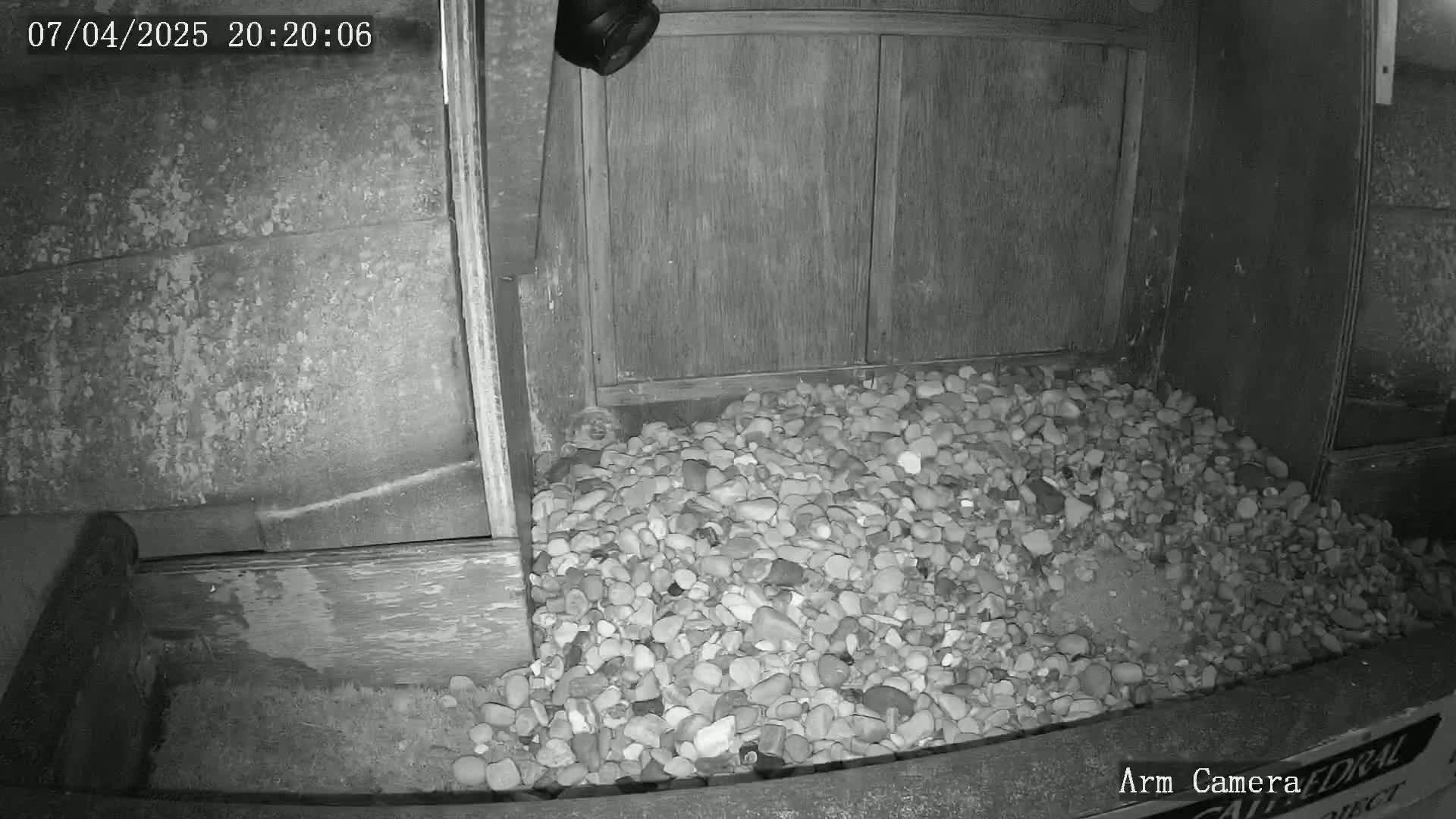 A pile of small rocks sits at the base of a wooden door at night.