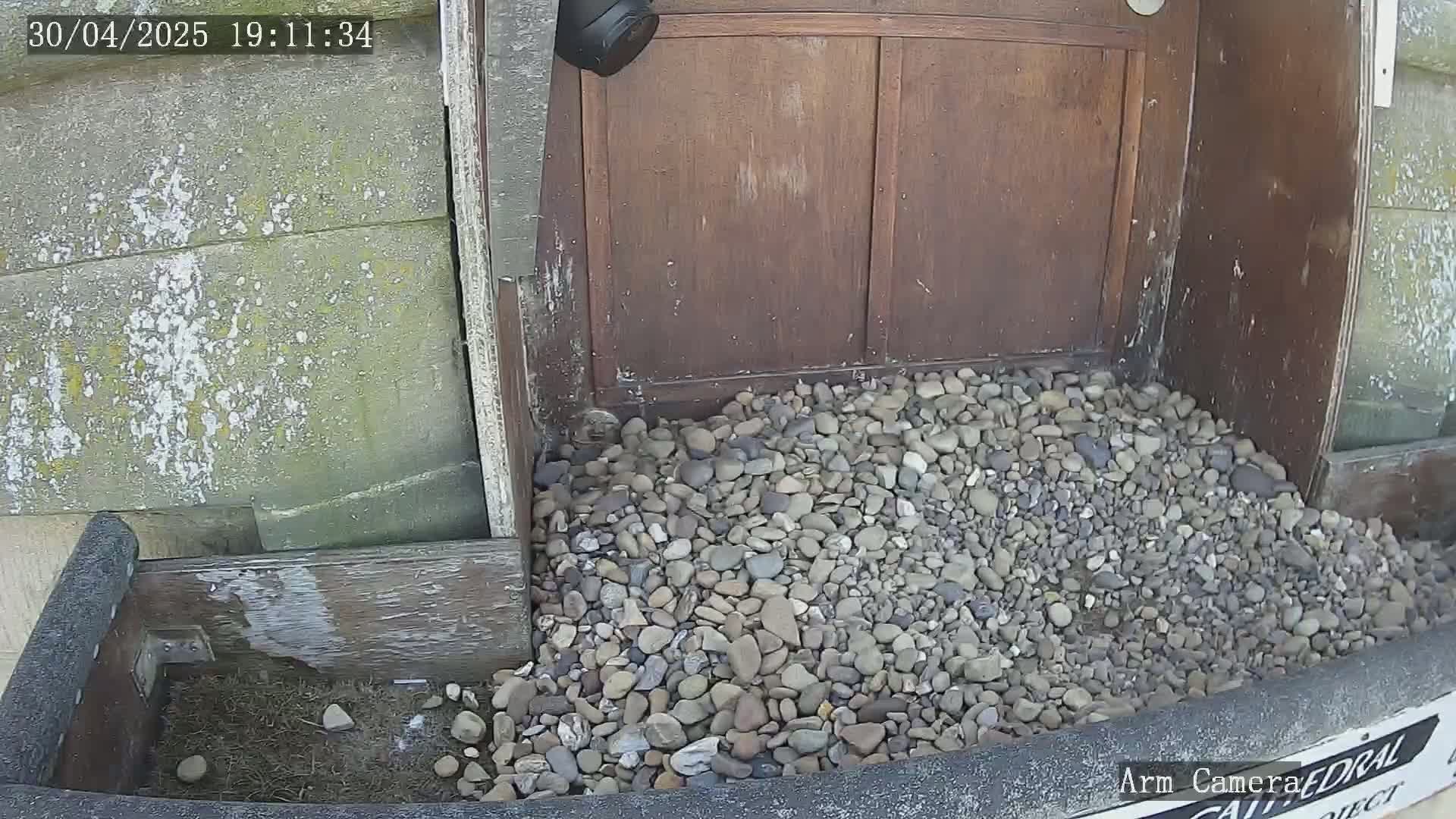A pile of small, grey and brown stones sits at the base of a weathered wooden door; a security camera is mounted above.
