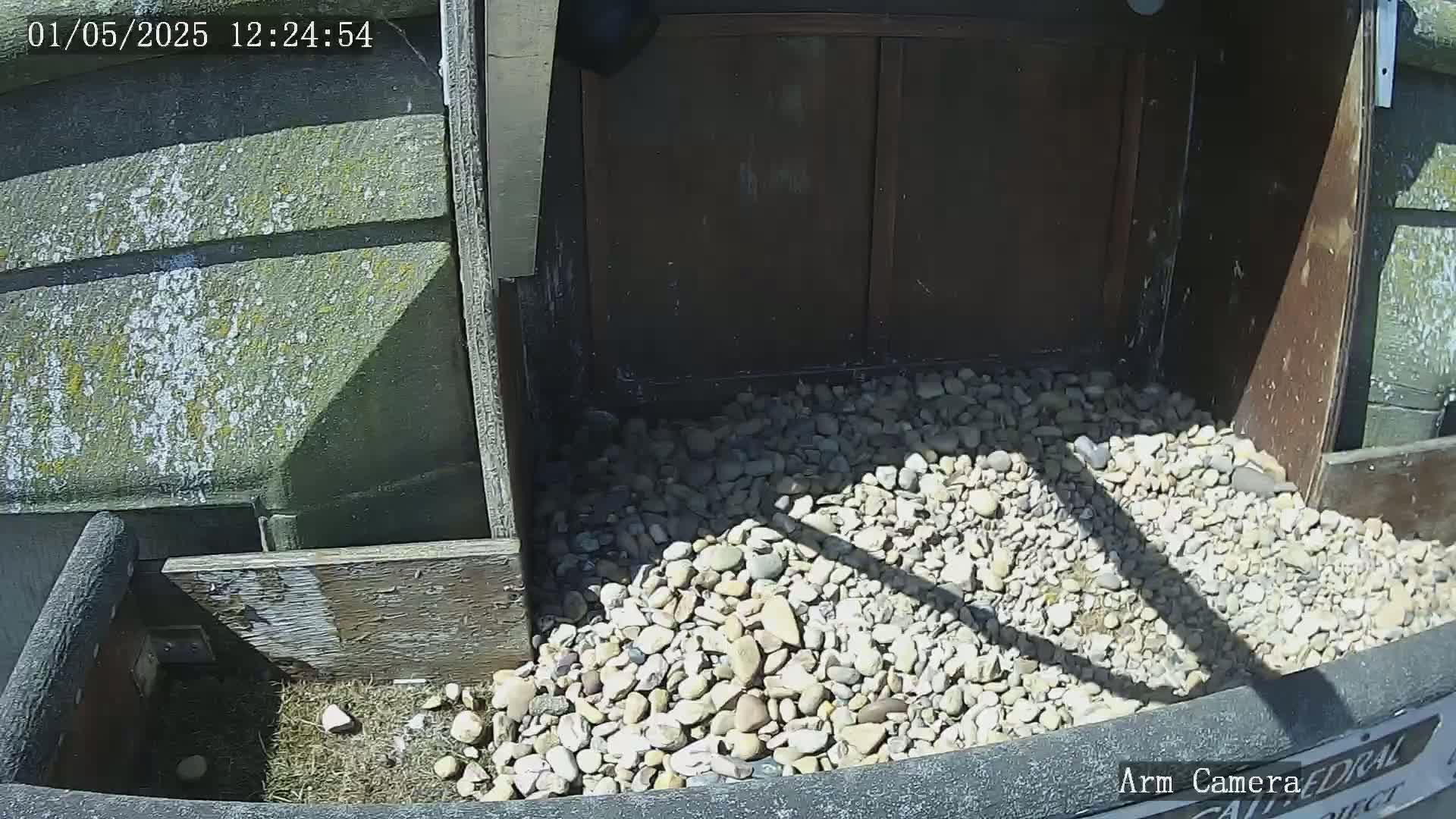 A pile of light-colored rocks fills a wooden enclosure on a sunny day.