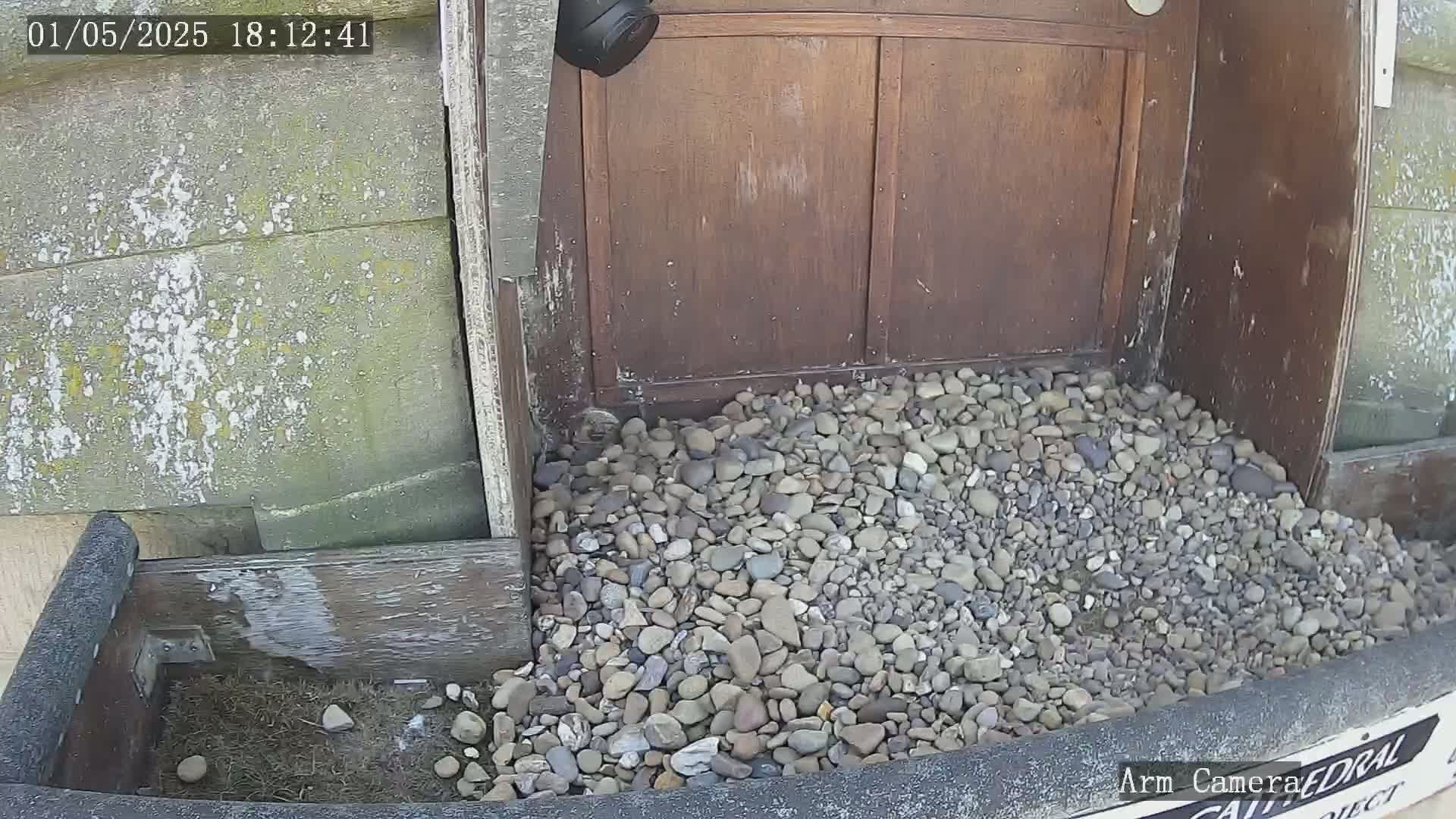A security camera overlooks a pile of small, grey and brown stones at the base of a weathered brown wooden door.