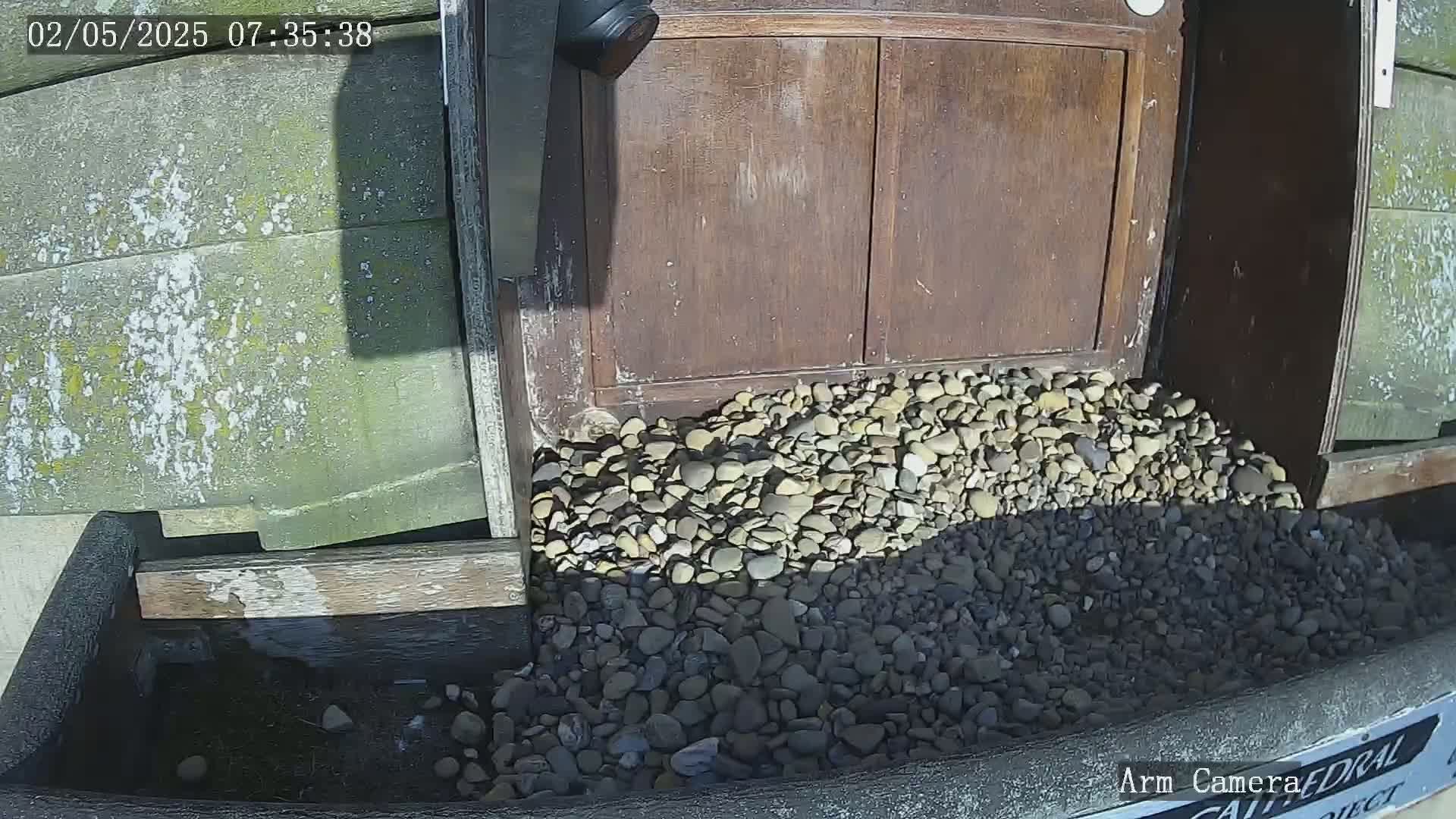 A pile of light and dark colored pebbles sits at the base of a weathered wooden door in bright sunlight.