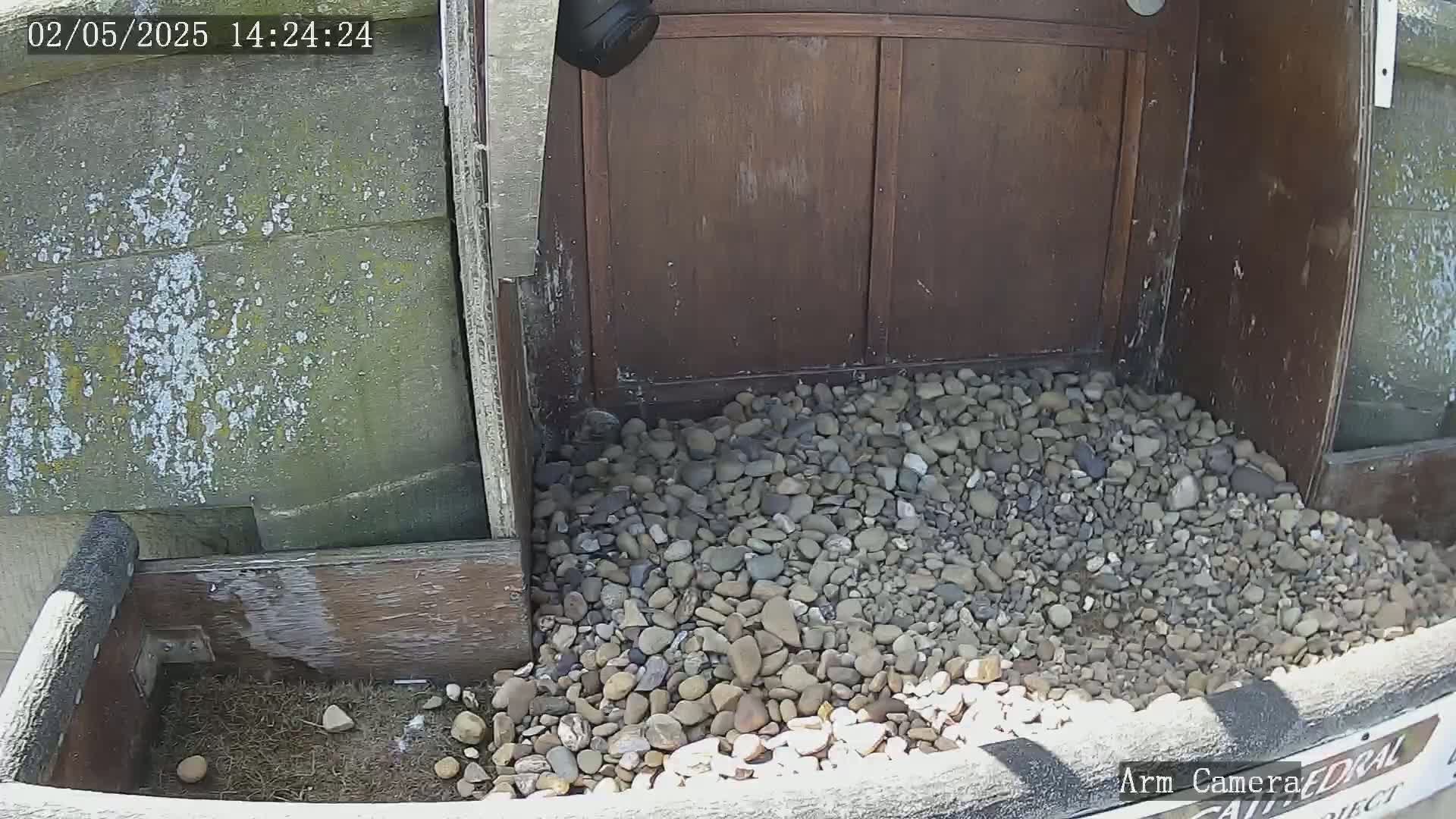 A wooden box filled with small rocks sits in front of a weathered wooden door under a bright, sunny sky.