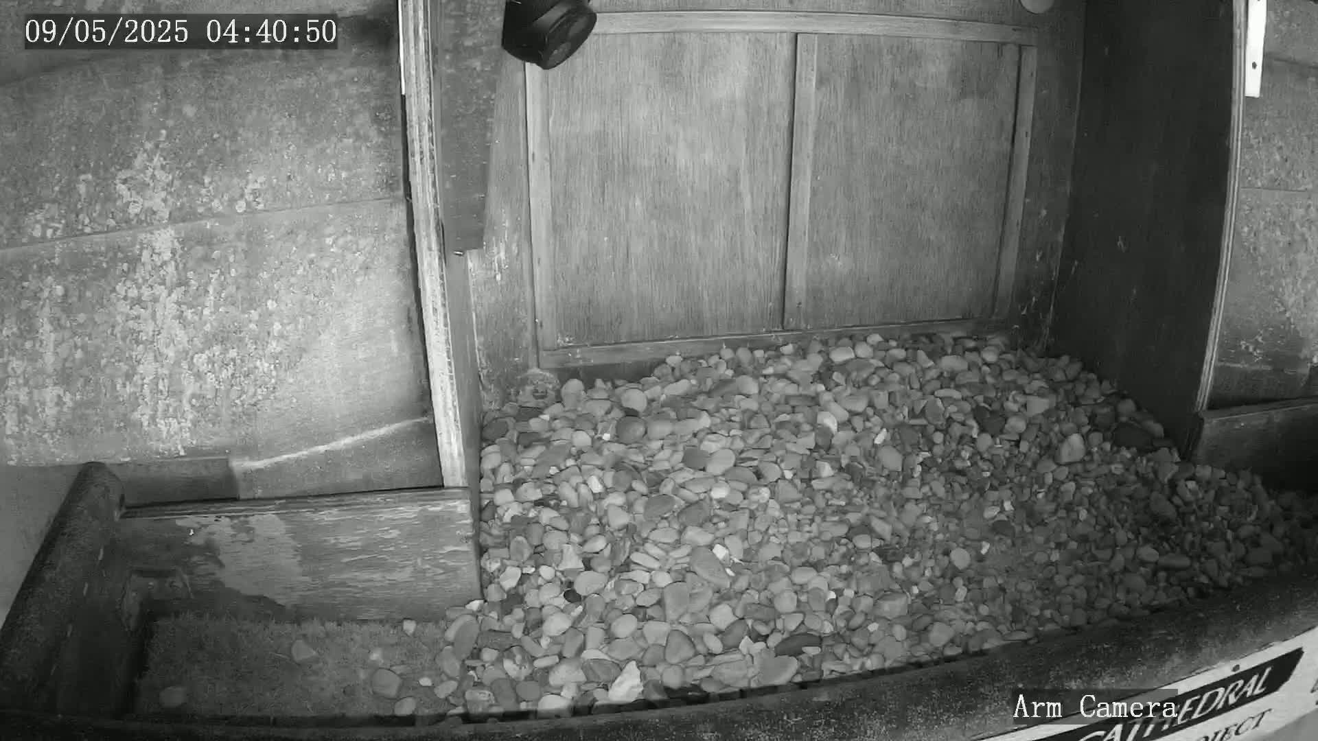A pile of rocks sits inside a wooden structure at night, illuminated by a security camera.