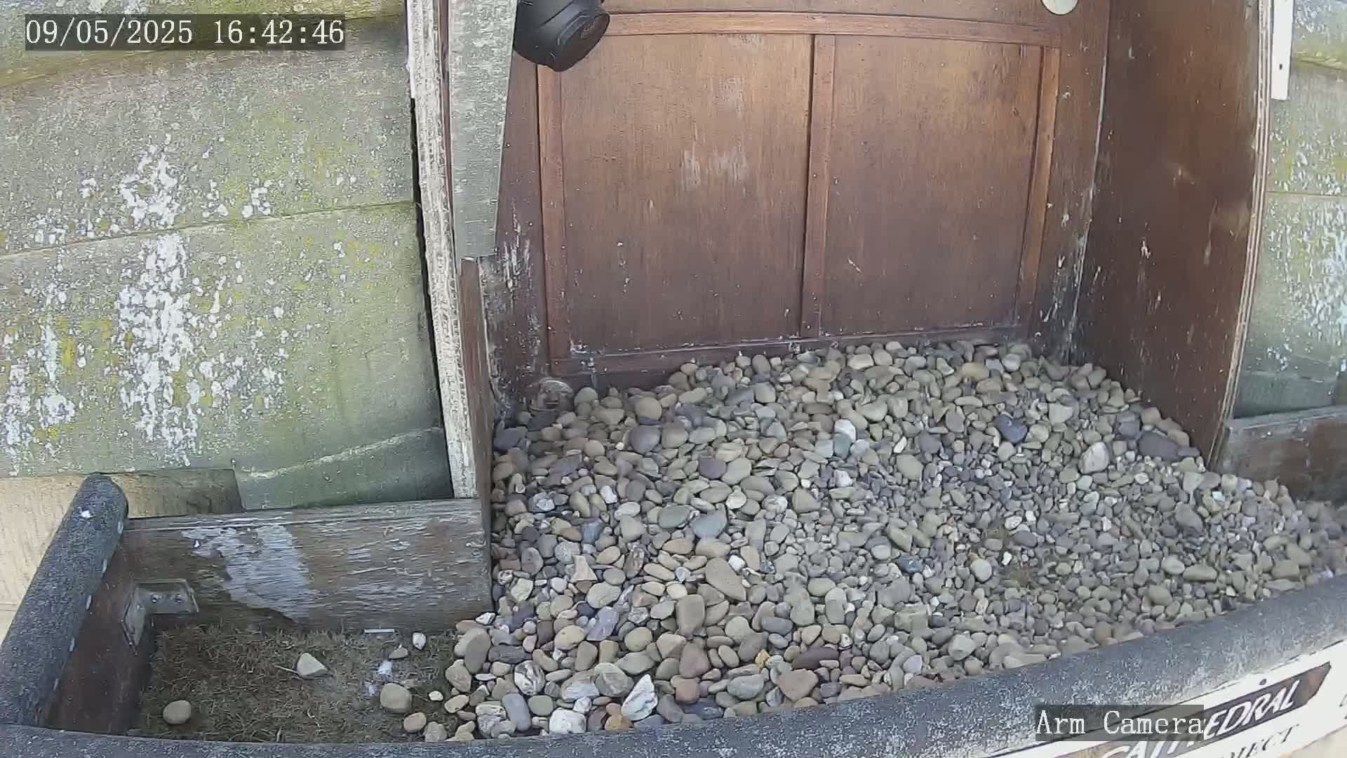 A pile of small, grey and brown rocks sits at the base of a weathered wooden door under a bright, sunny sky.