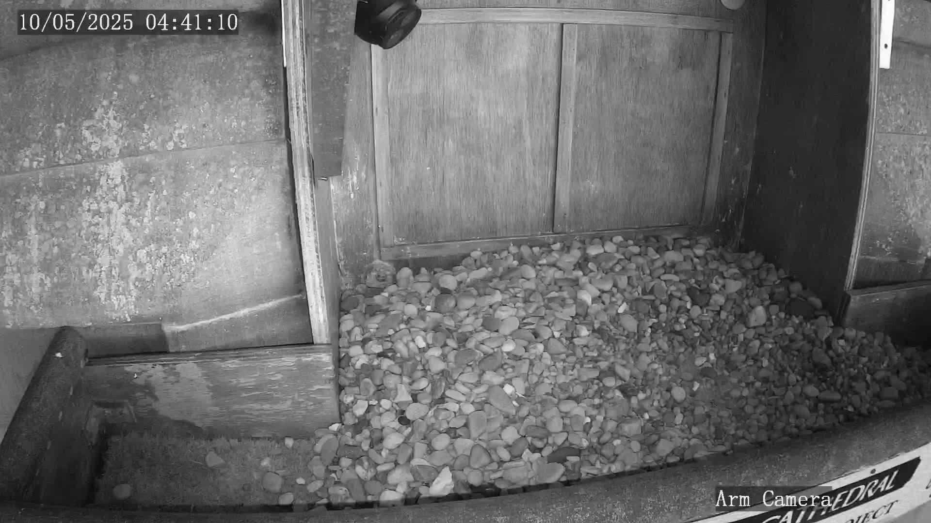 A pile of rocks sits in front of a wooden door, underneath a security camera at night.