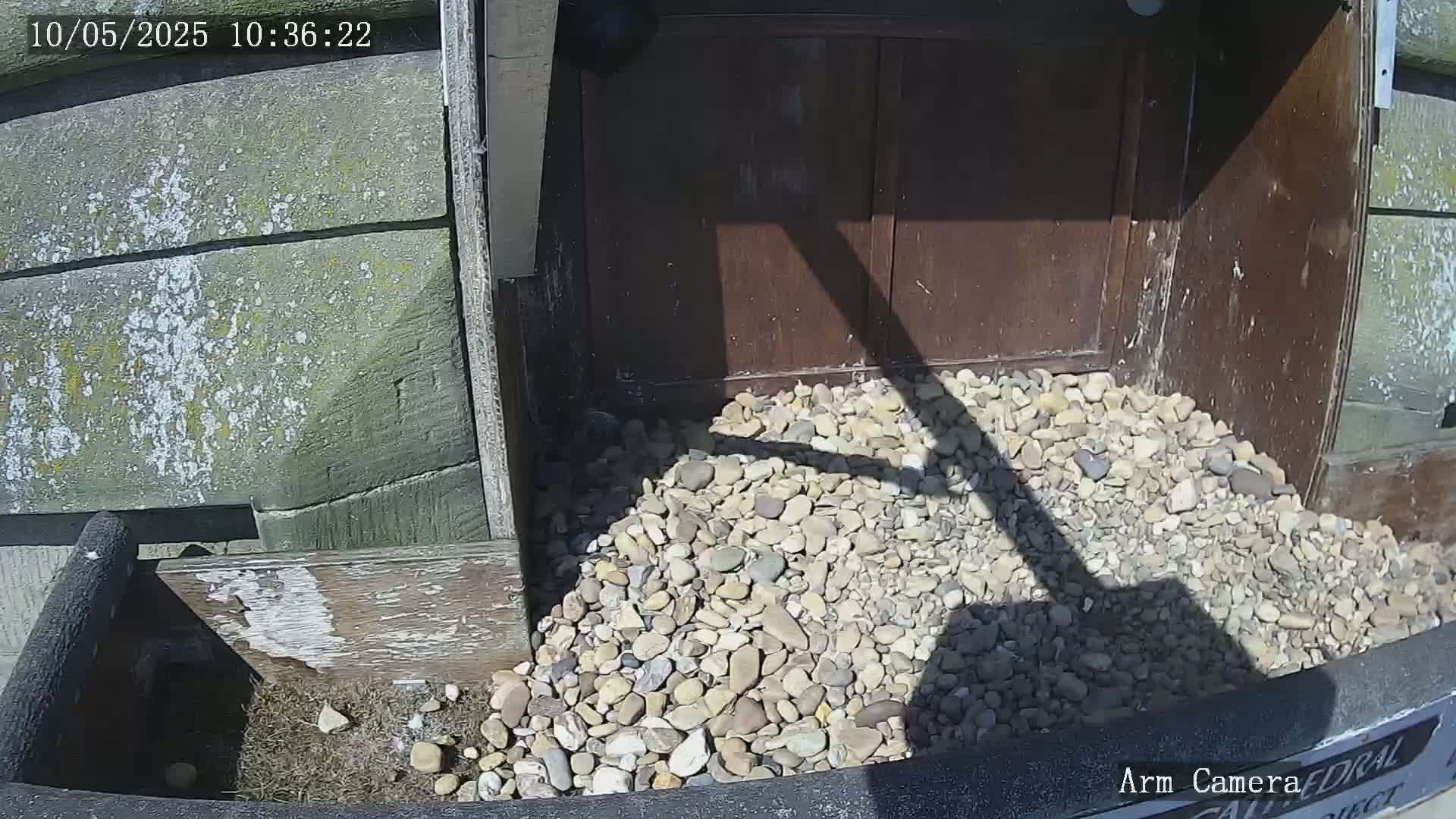 A pile of light-colored pebbles sits in front of a dark brown wooden structure on a sunny day.