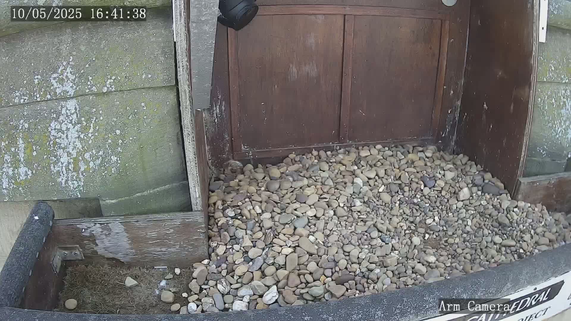 A pile of small, light-colored stones sits at the base of a dark brown wooden structure, partially covered by a dark gray material.