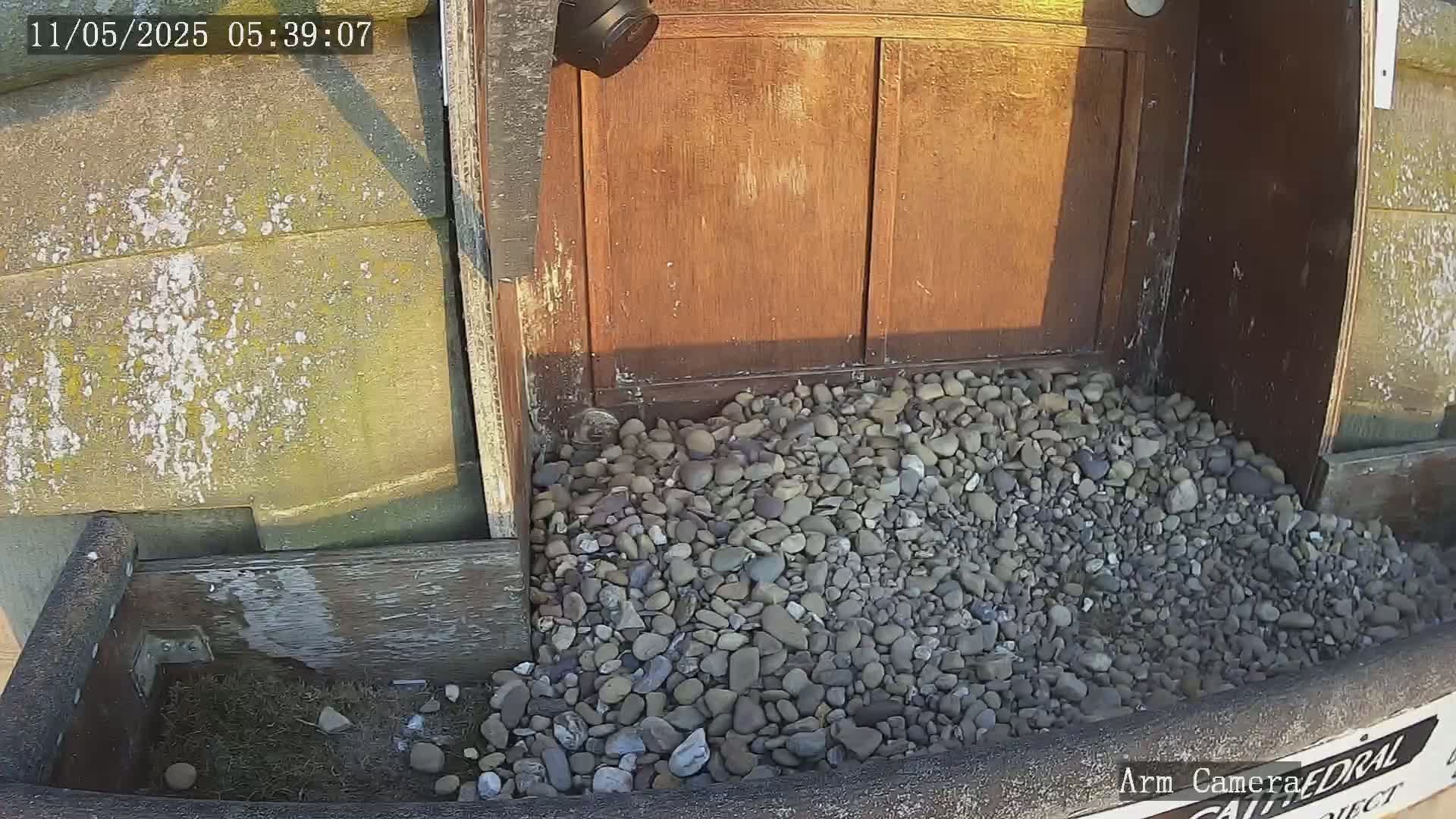 A pile of small, grey and brown rocks sits in a wooden box at the base of a weathered wooden door in the early morning sunlight.