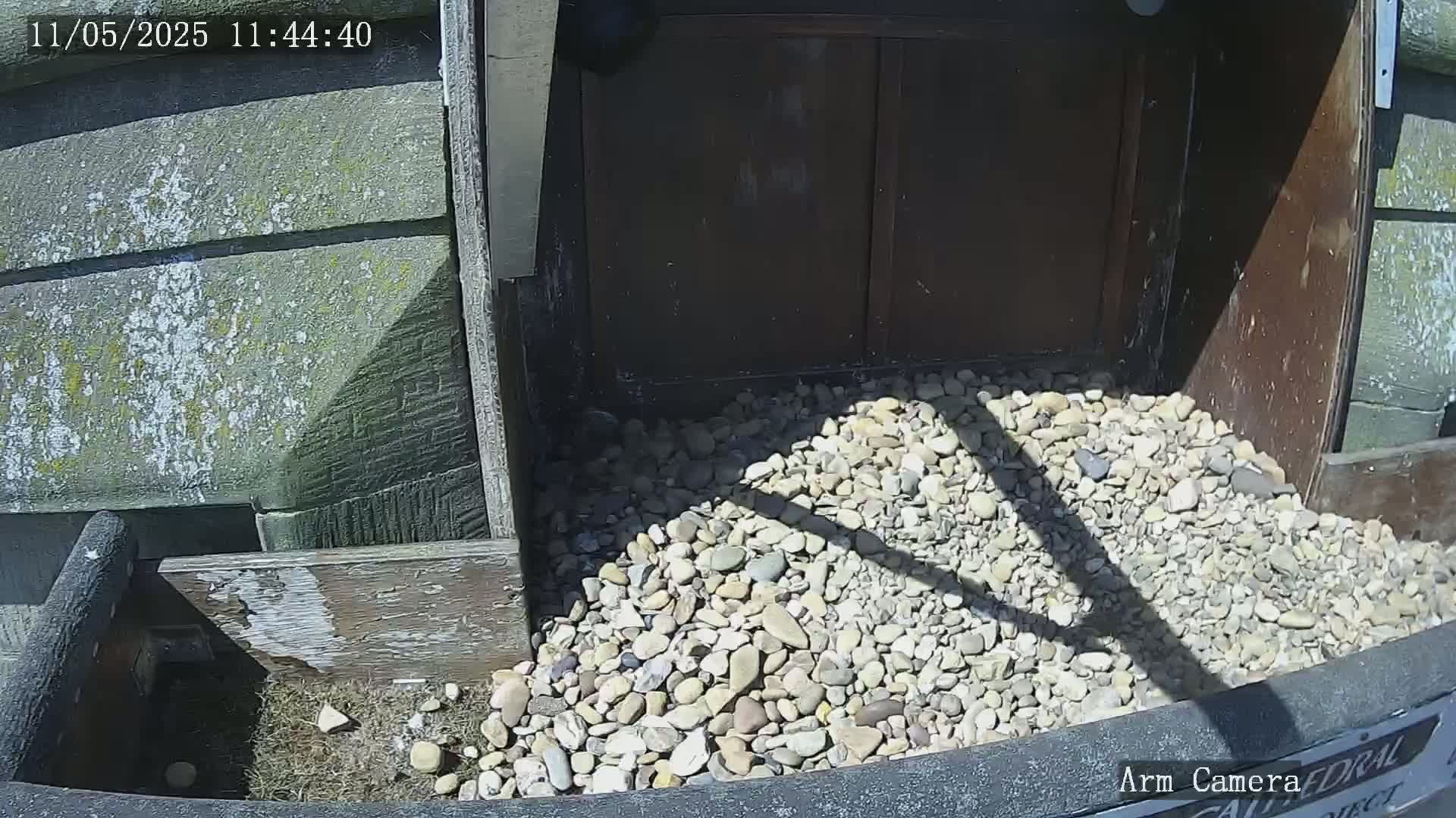 A pile of light-colored pebbles sits in front of a dark wooden door on a sunny day.