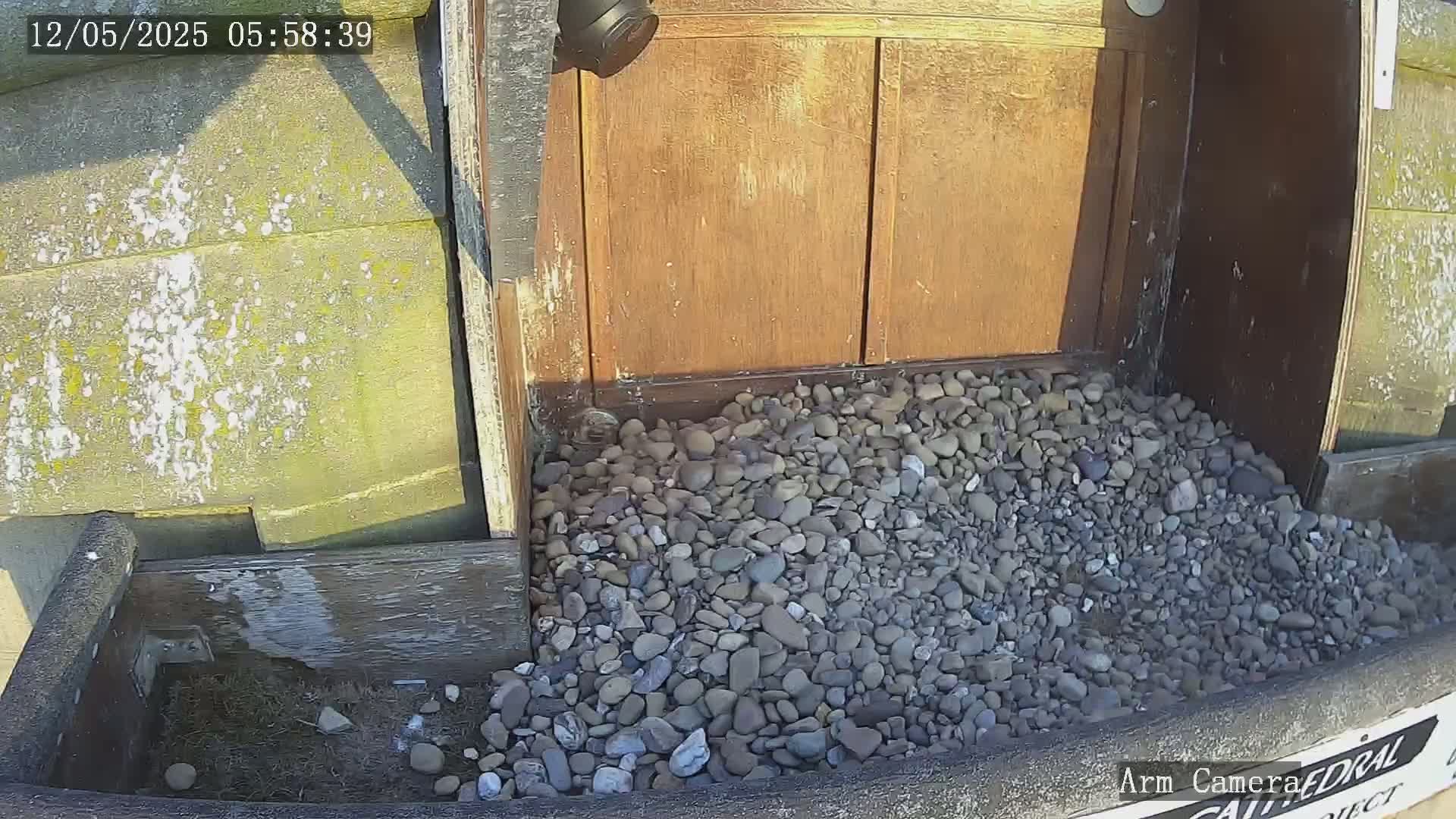 A pile of gray and brown pebbles sits in a wooden box beneath a weathered wooden door in sunny conditions.