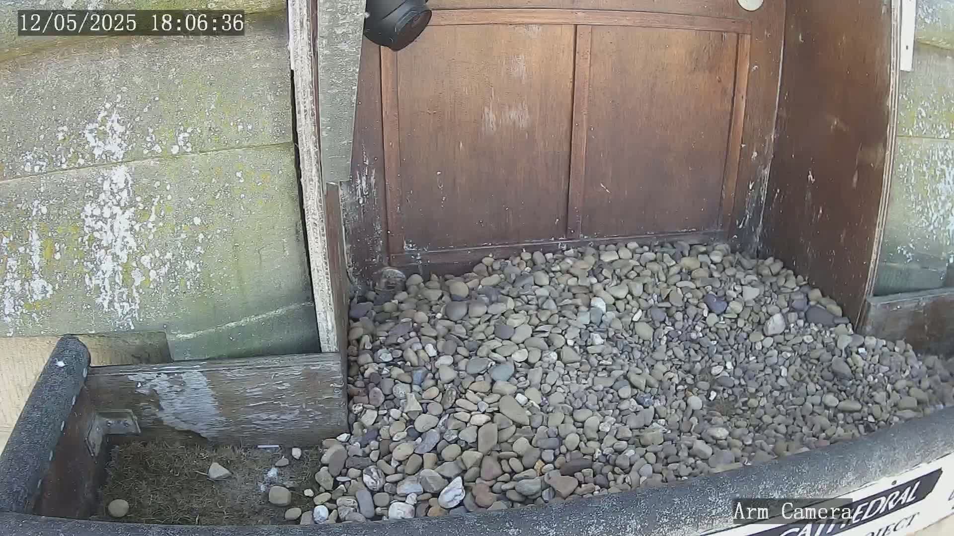 A pile of gray and brown rocks sits in a wooden planter next to a brown wooden door on a sunny day.