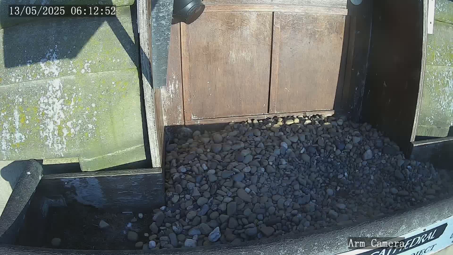 Wakefield Cathedral & Peregrine Life Project Live Cam - Wakefield, West Yorkshire, Yorkshire and the Humber, England, United Kingdom