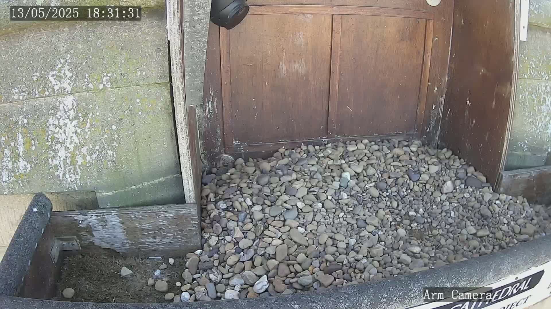 A pile of grey and brown pebbles sits at the base of a dark brown wooden door, partially filling a wooden trough.