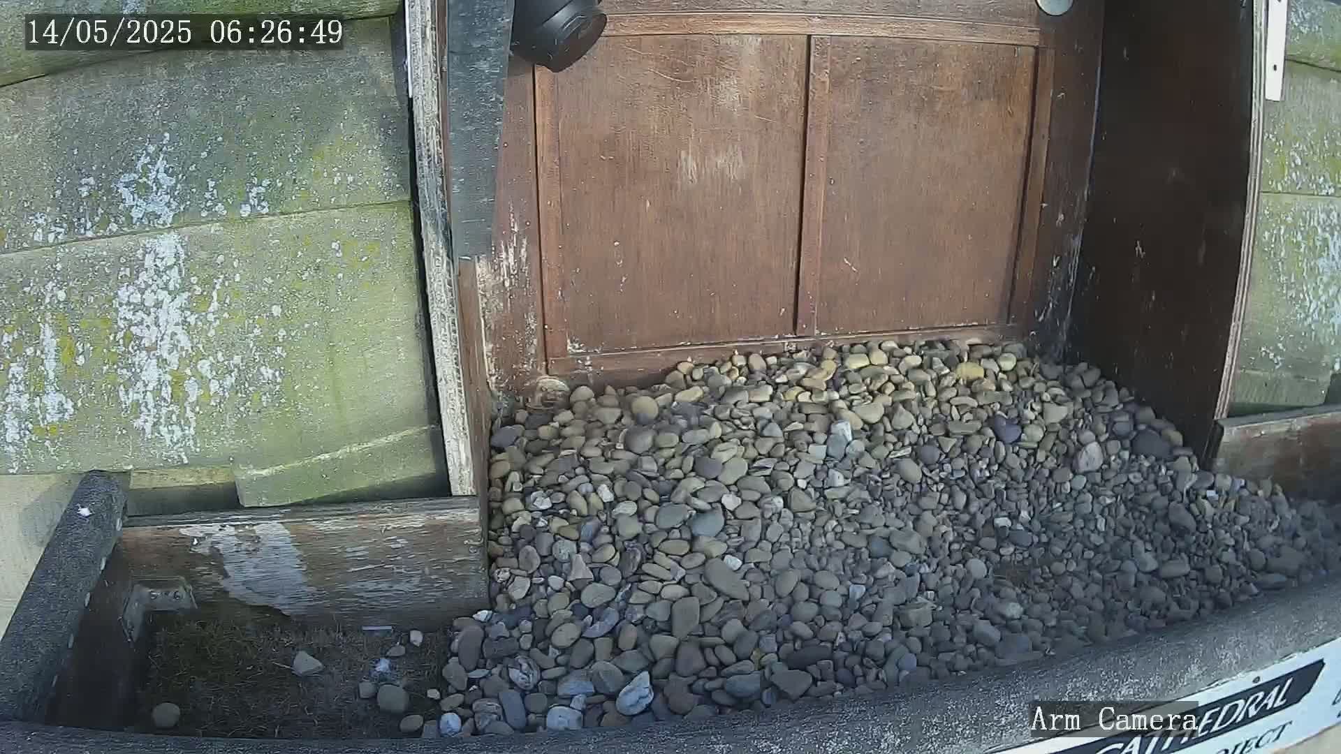 Wakefield Cathedral & Peregrine Life Project Live Cam - Wakefield, West Yorkshire, Yorkshire and the Humber, England, United Kingdom