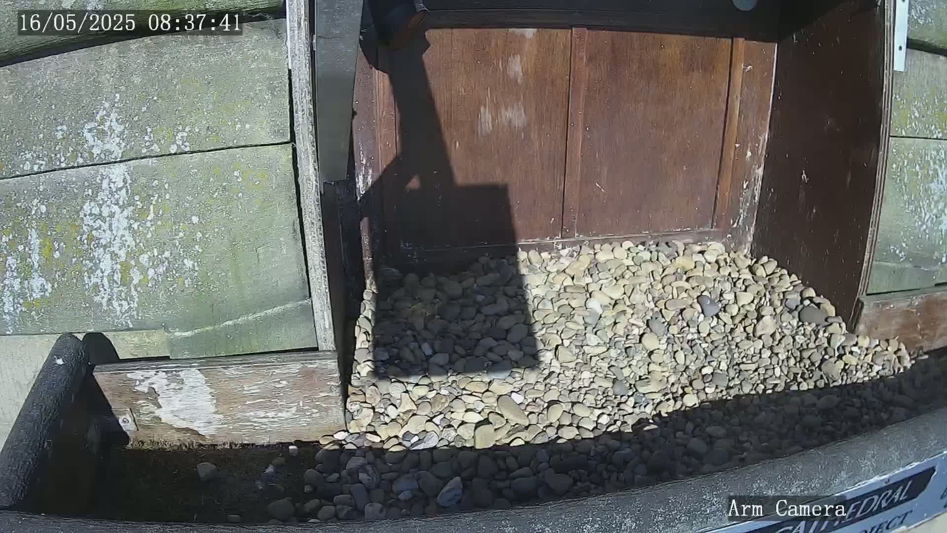 A pile of small, light-colored stones lies in front of a weathered wooden door on a sunny day, with a shadow cast onto the stones.