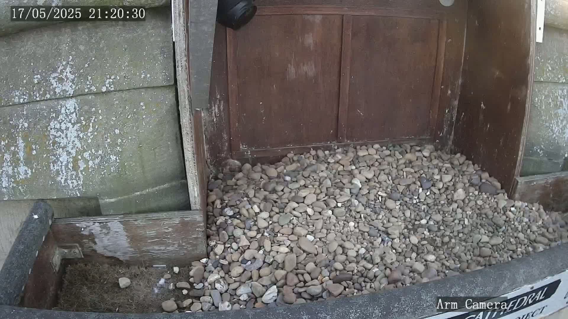 Wakefield Cathedral & Peregrine Life Project Live Cam - Wakefield, West Yorkshire, Yorkshire and the Humber, England, United Kingdom