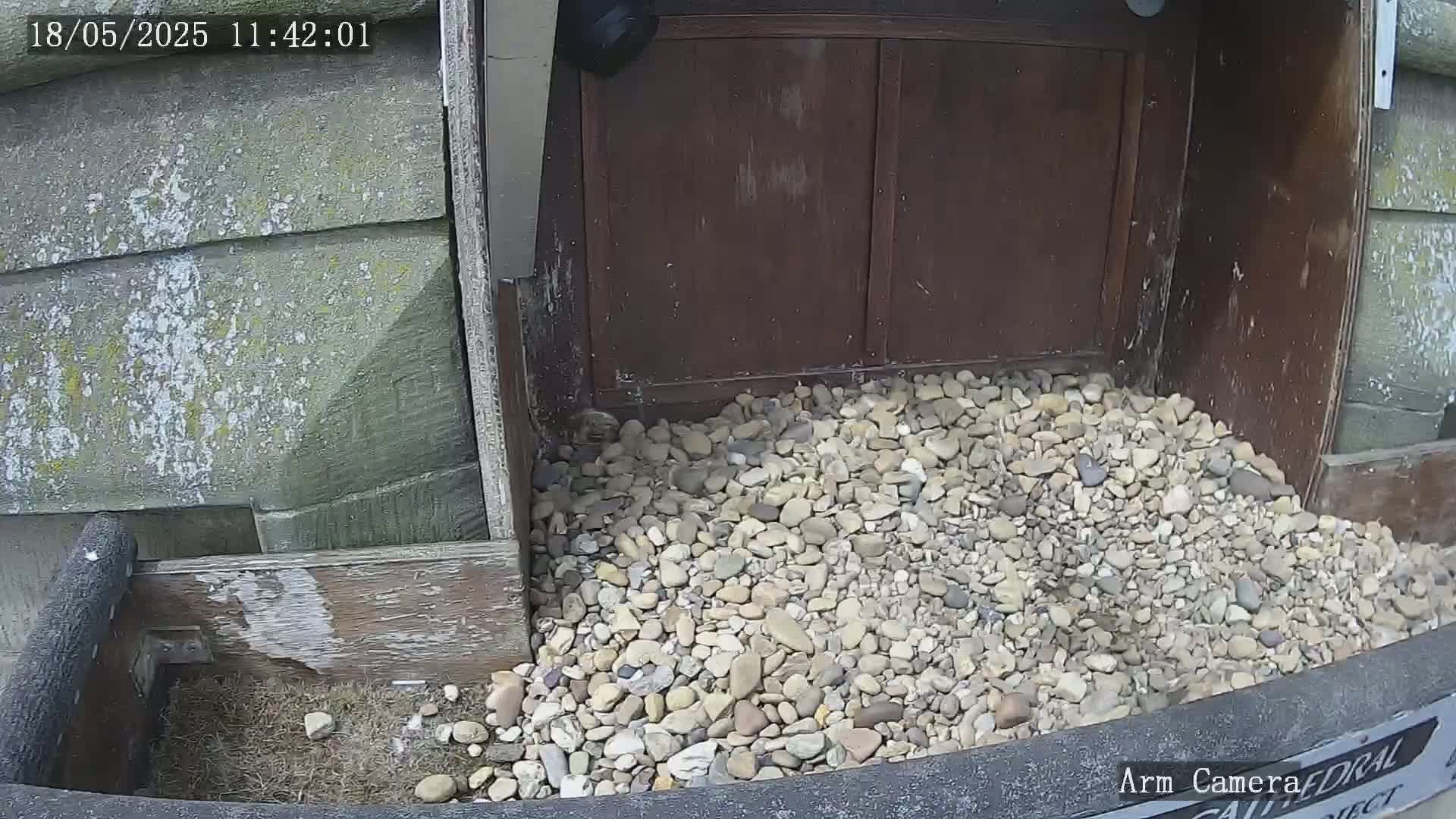 A pile of light-colored gravel sits at the base of a weathered wooden structure outdoors.
