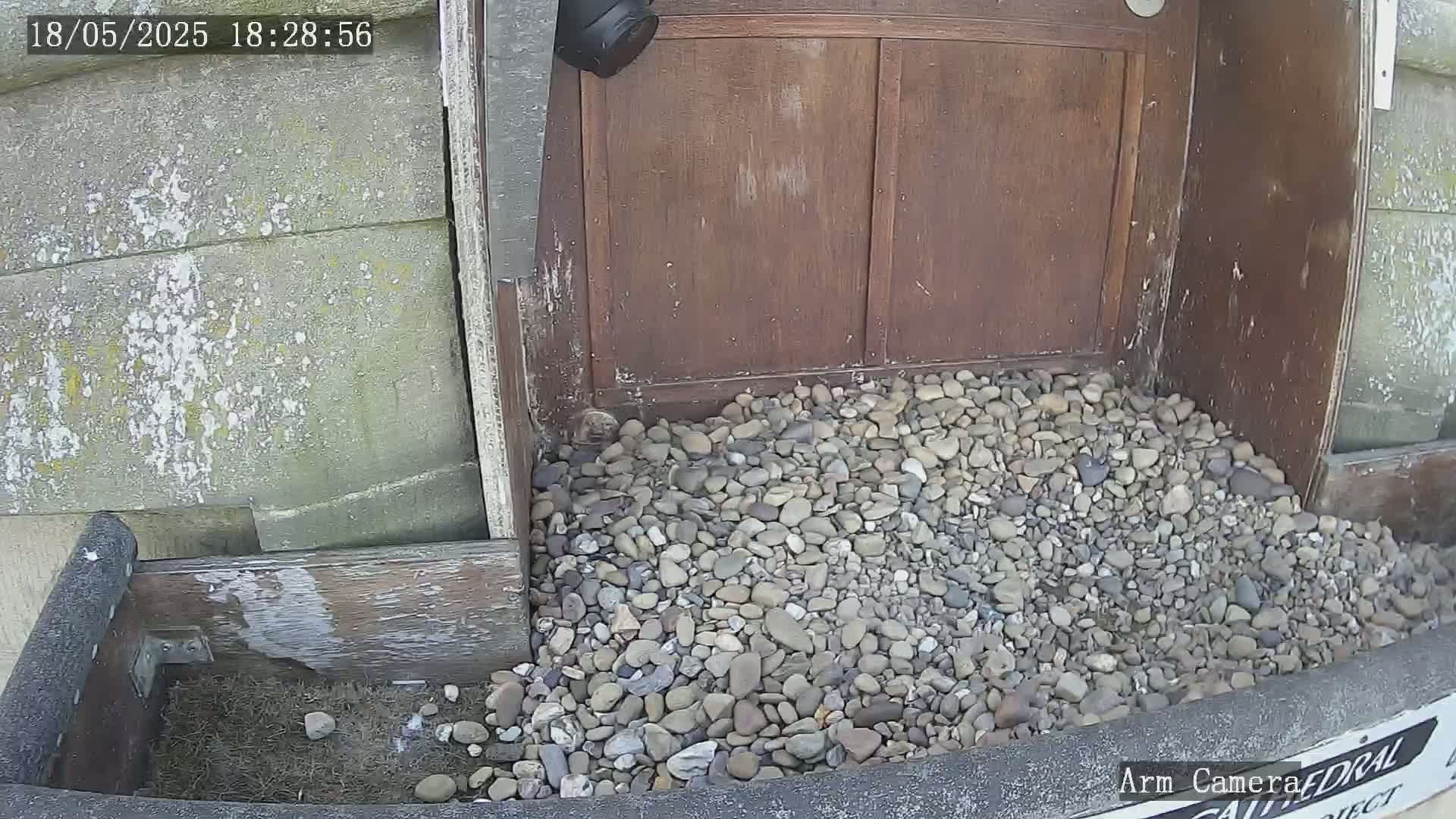 A pile of small, gray and brown stones sits at the base of a weathered wooden structure, next to a gray concrete wall, under what appears to be sunny conditions.