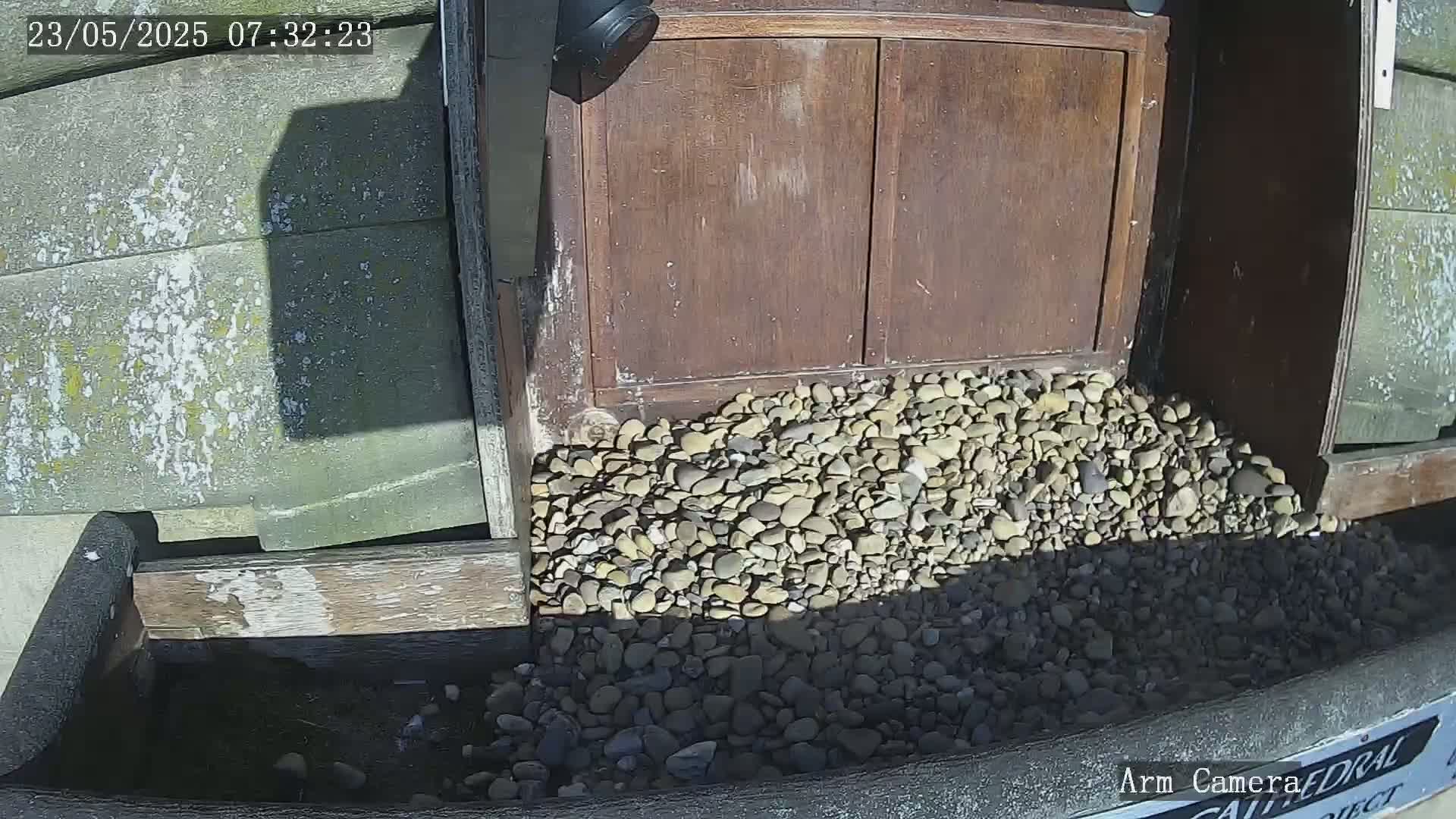 Wakefield Cathedral & Peregrine Life Project Live Cam - Wakefield, West Yorkshire, Yorkshire and the Humber, England, United Kingdom
