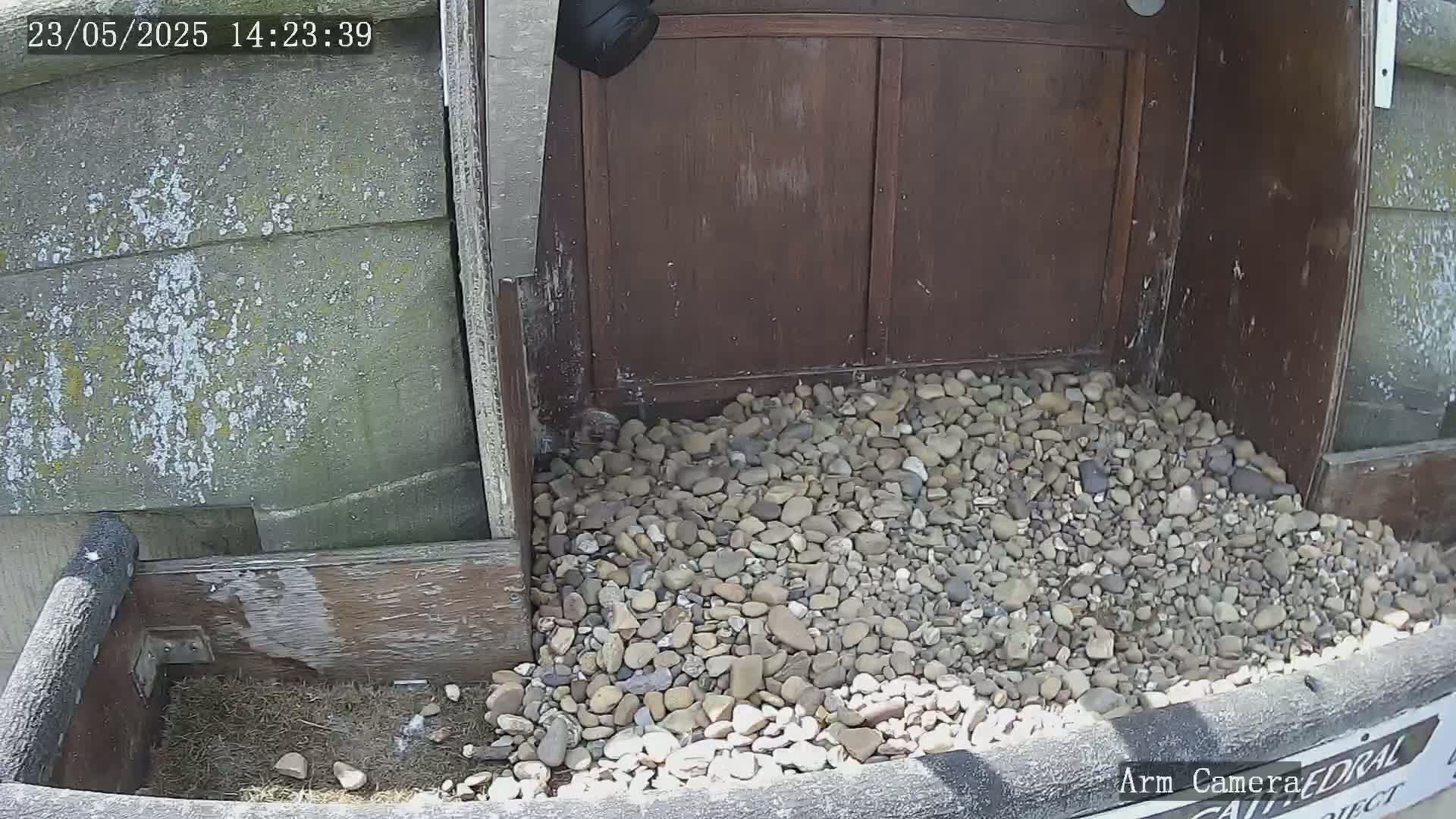 A pile of small rocks sits in front of a weathered wooden structure on a sunny day.