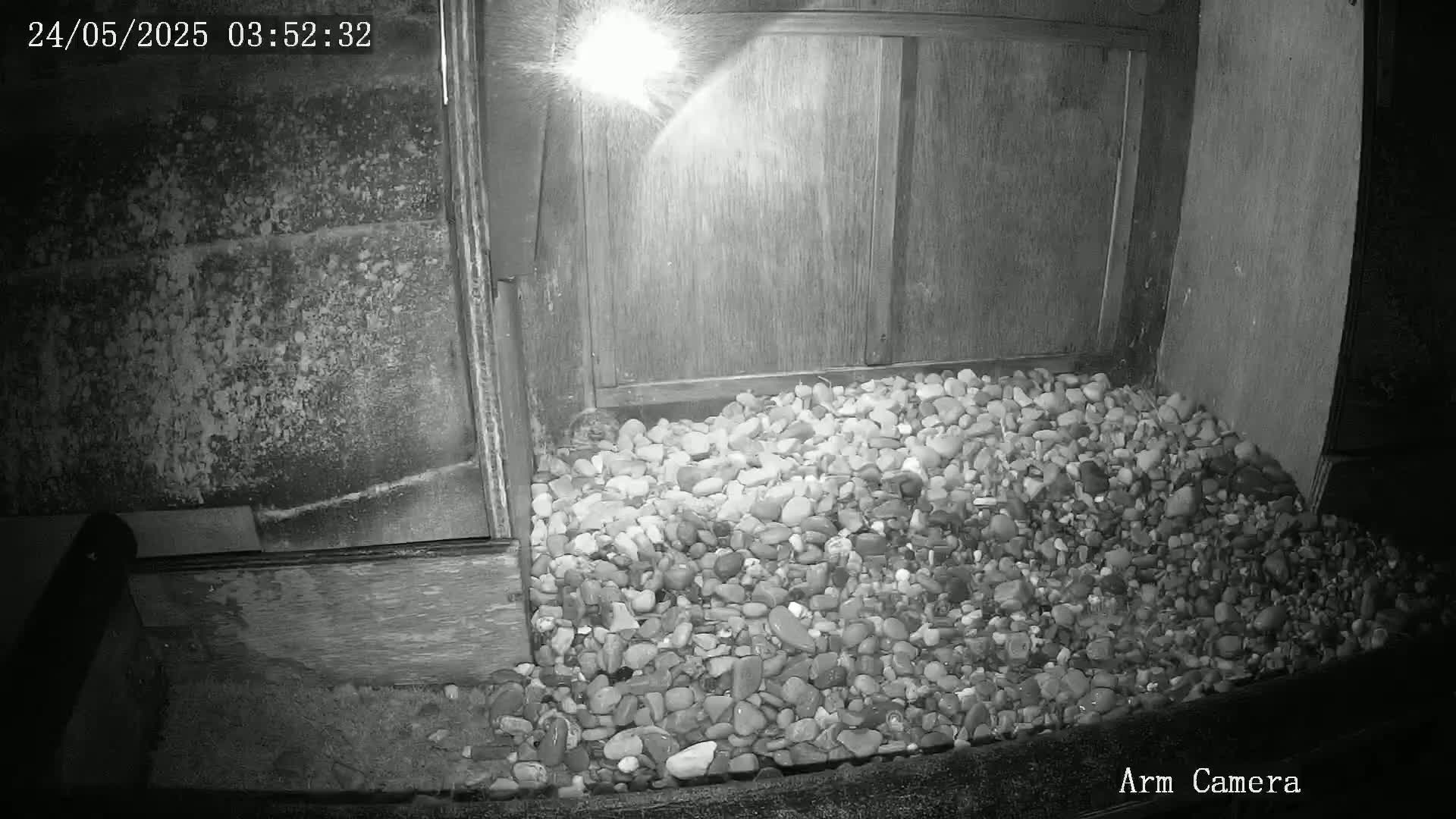 Wakefield Cathedral & Peregrine Life Project Live Cam - Wakefield, West Yorkshire, Yorkshire and the Humber, England, United Kingdom