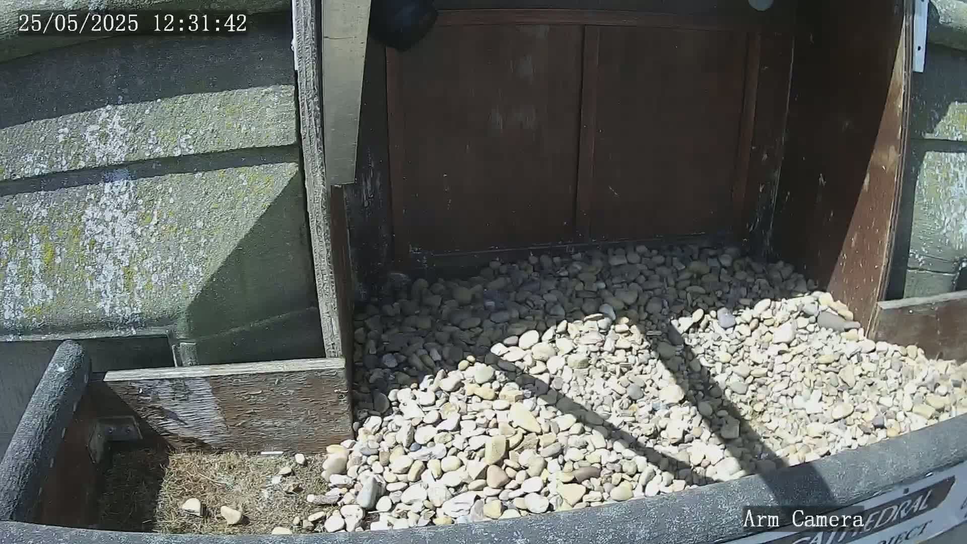A pile of light-colored pebbles sits in a shadowed alcove of a building on a sunny day.