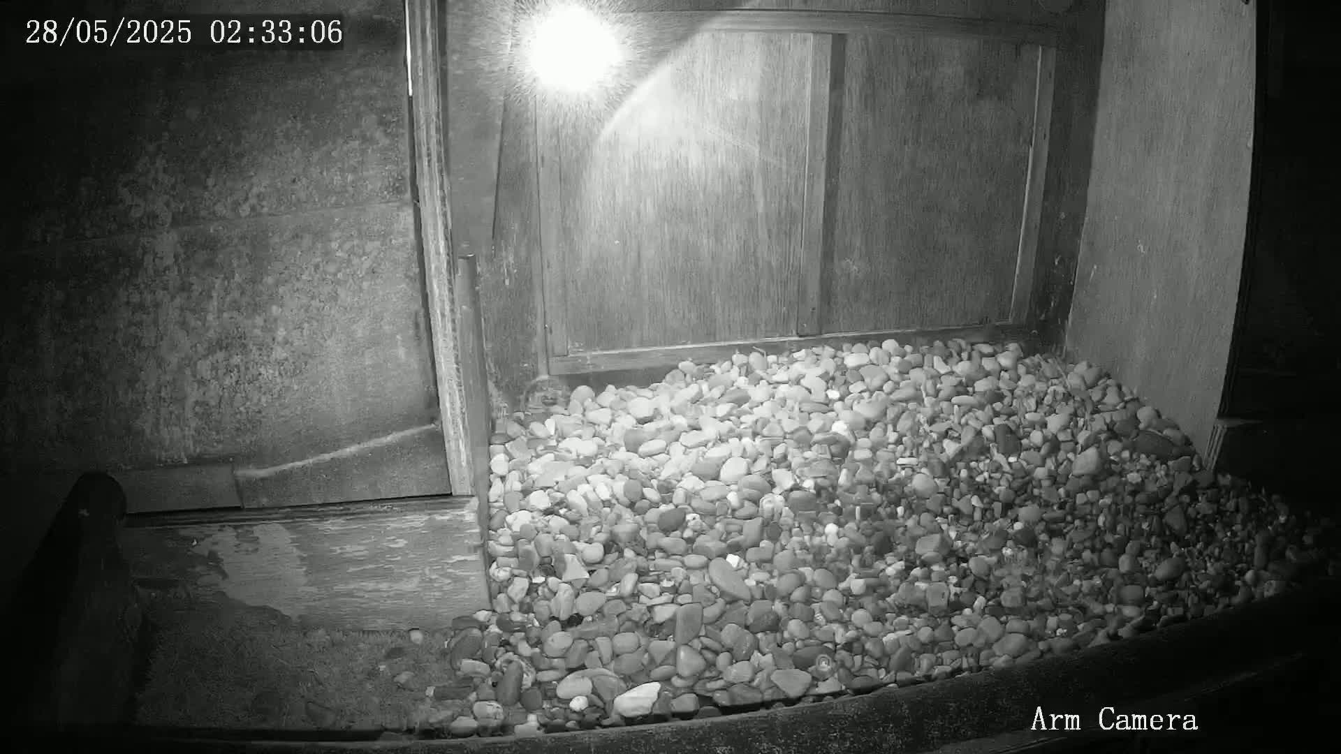 A nighttime, black and white image shows a pile of small, grey and white stones illuminated by a bright light source near a wooden structure.