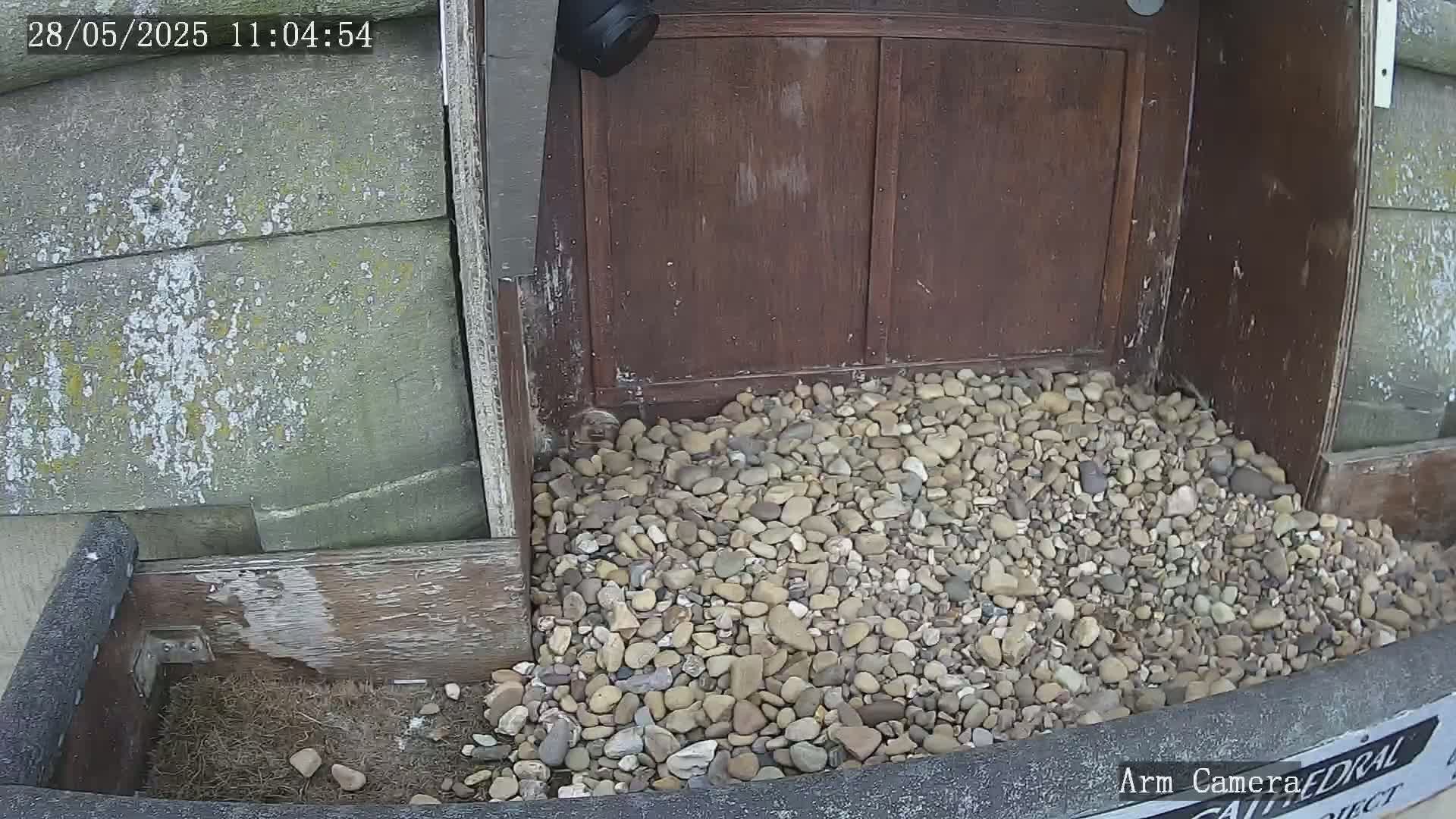 A pile of rocks sits at the base of a weathered wooden structure, partially obscuring a dark wooden door; a security camera is mounted above.