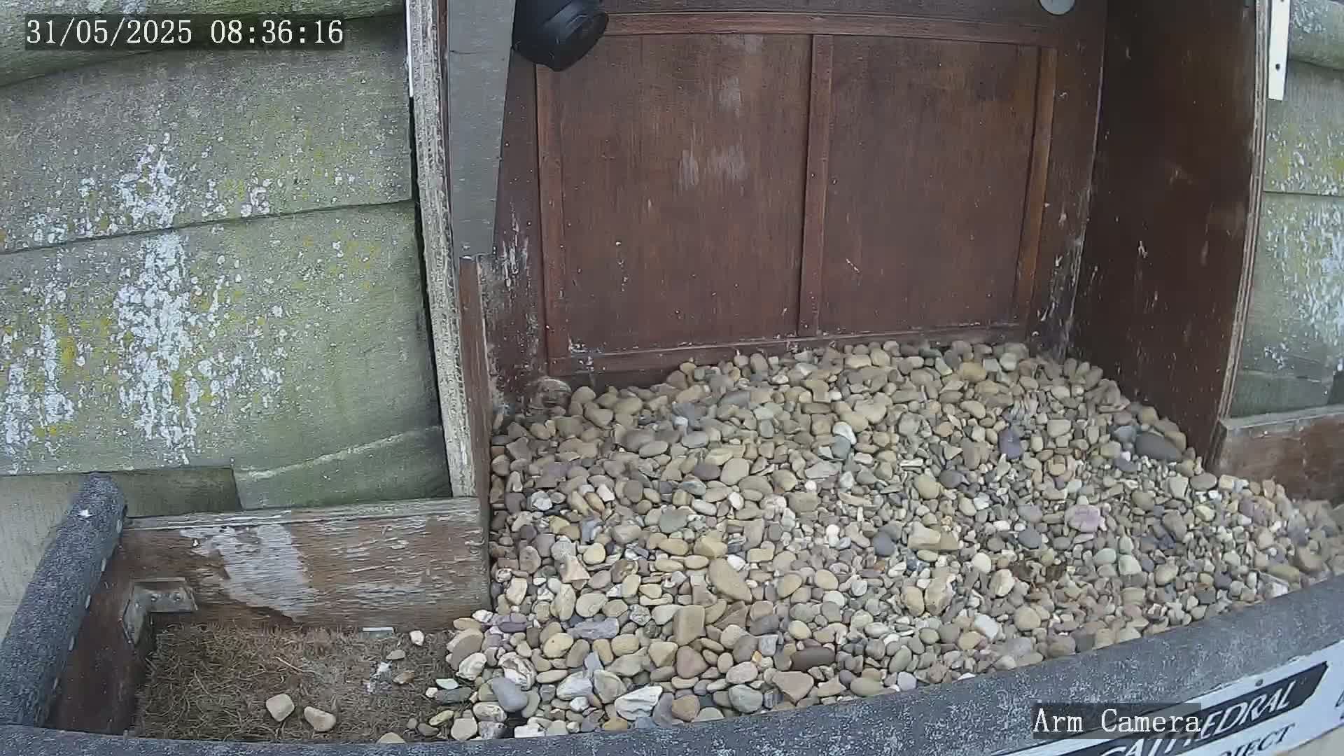 A pile of small rocks sits at the base of a weathered wooden structure, next to a security camera.