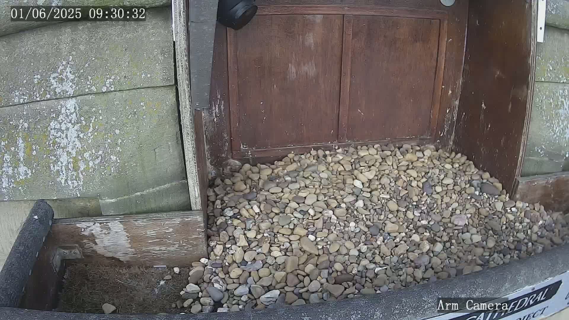 A pile of small, light-colored stones sits at the base of a weathered wooden door and structure.
