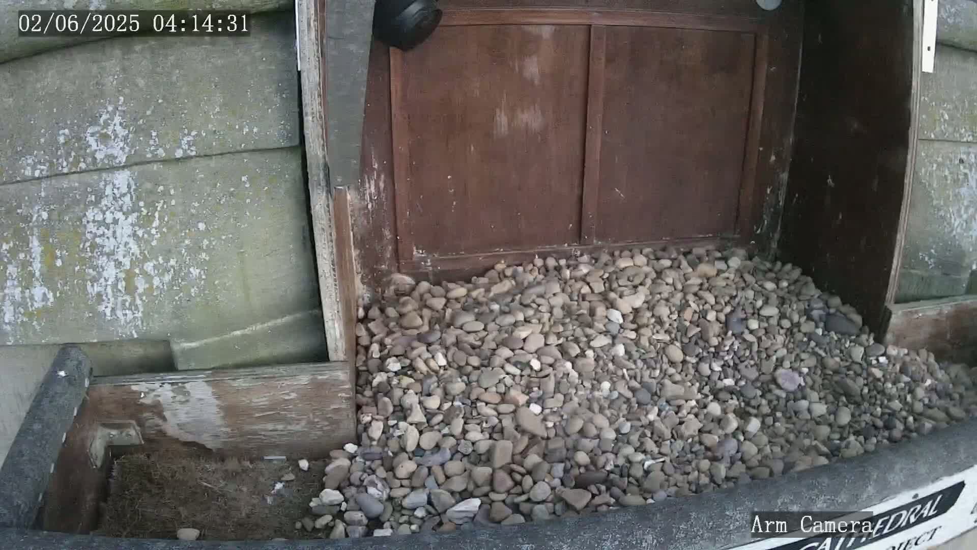 A pile of rocks sits in a wooden trough next to a dark brown wooden door.