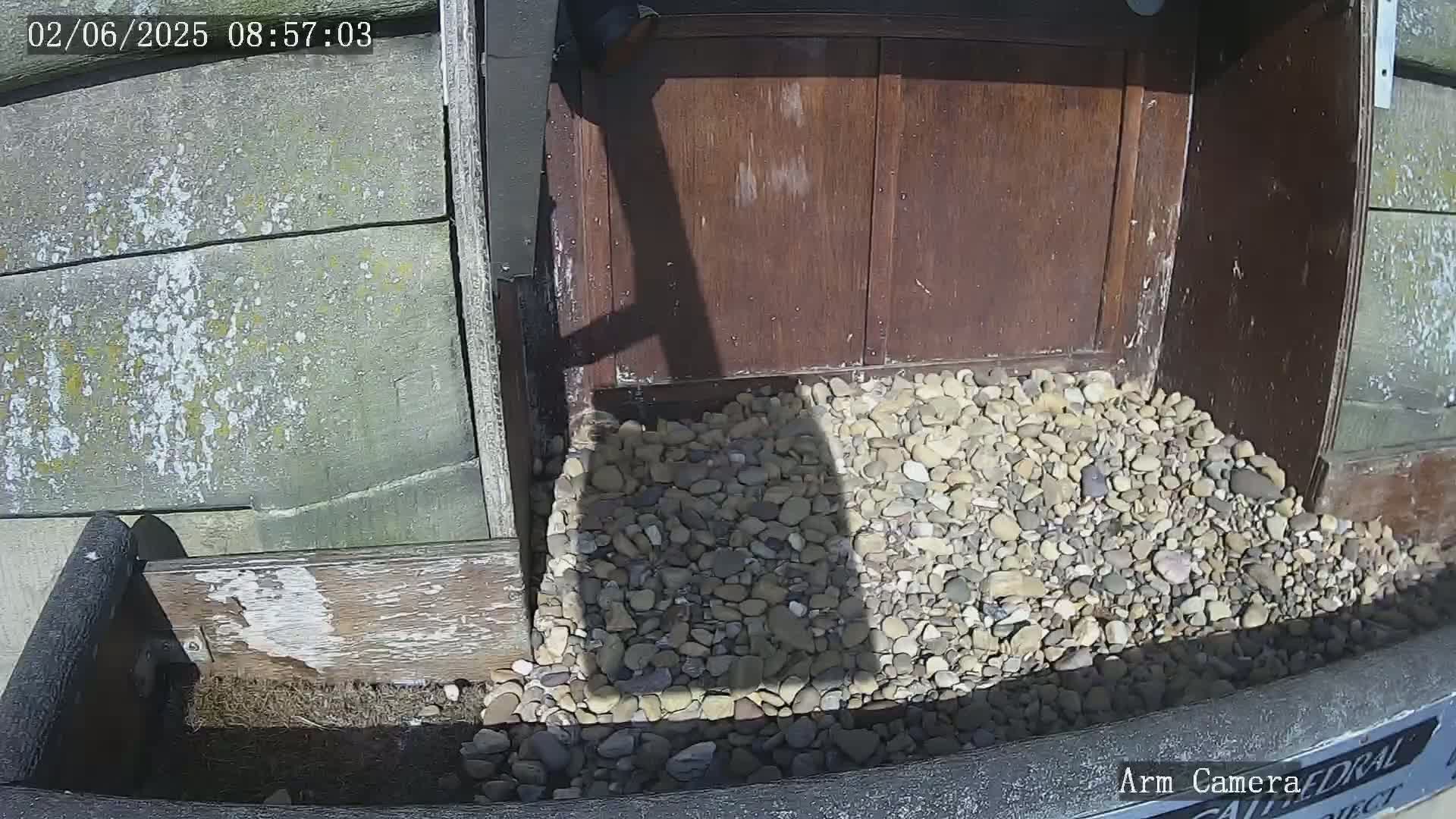 A ground-level view shows a pile of small, light-colored rocks at the base of a weathered wooden door, under sunny conditions.