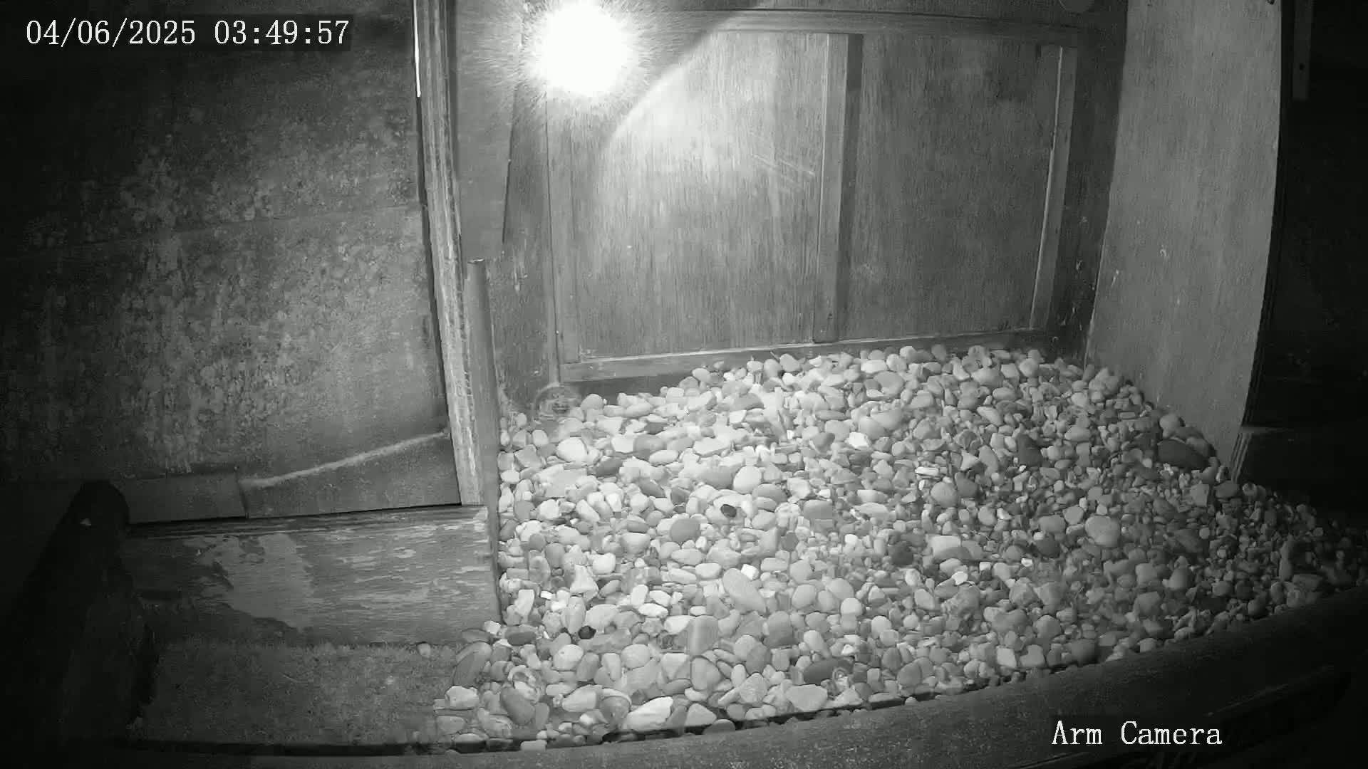 Wakefield Cathedral & Peregrine Life Project Live Cam - Wakefield, West Yorkshire, Yorkshire and the Humber, England, United Kingdom