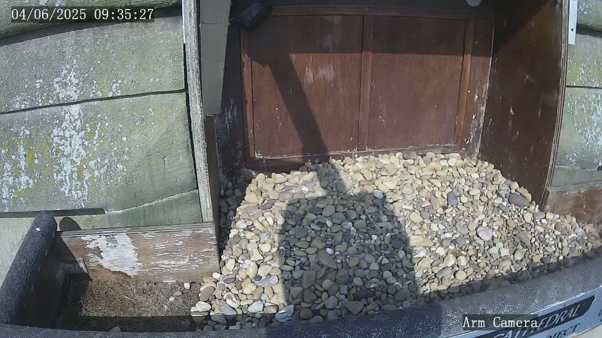 A pile of light-colored pebbles sits at the base of a weathered wooden structure on a sunny day, partially obscuring a shadow cast by something above it.