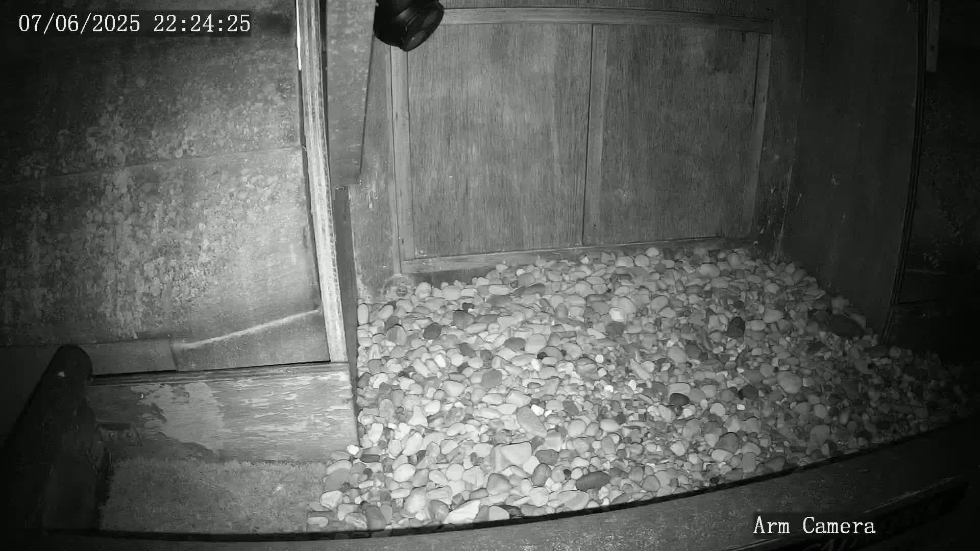 A pile of small, light-colored rocks sits at the base of a dark wooden structure at night, illuminated by a security camera.